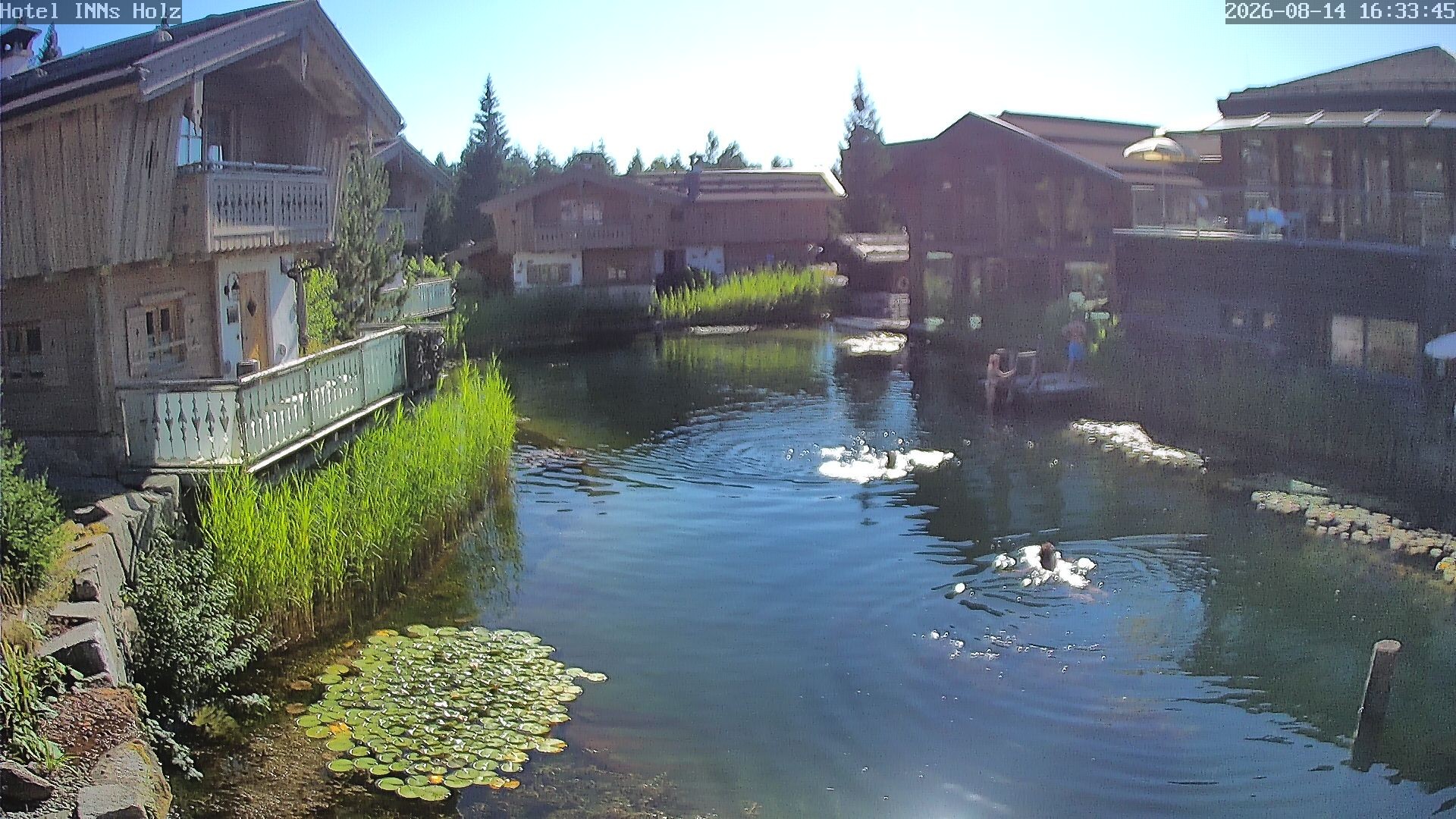 Archived image Webcam INNs HOLZ, Schöneben