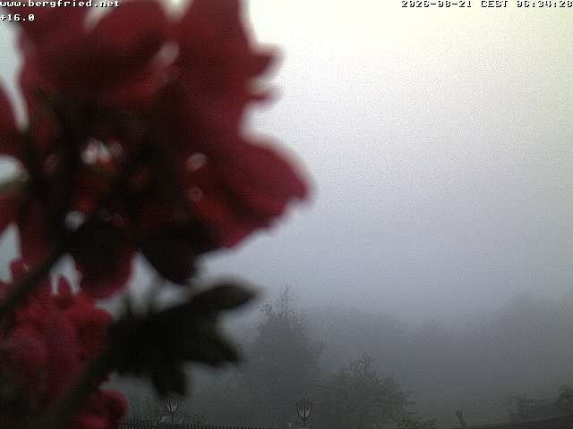 Archived image Webcam Ferndorf