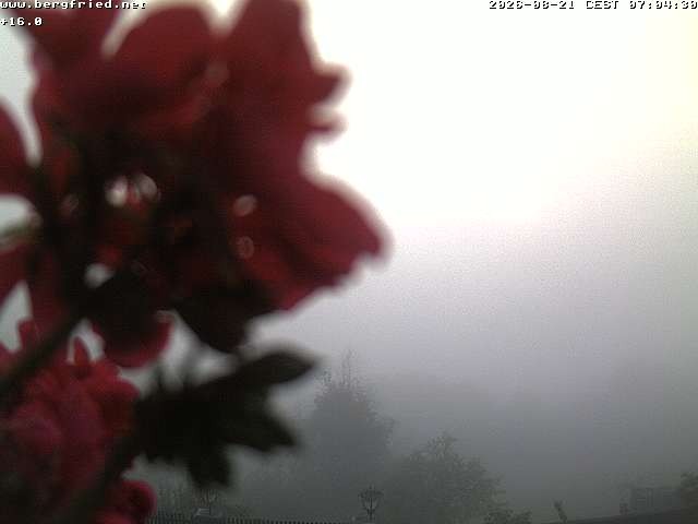Archived image Webcam Ferndorf
