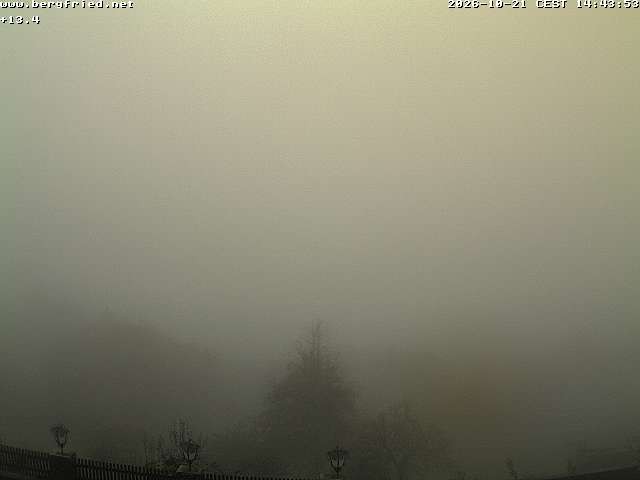 Archiv Foto Webcam Alpengasthof Bergfried