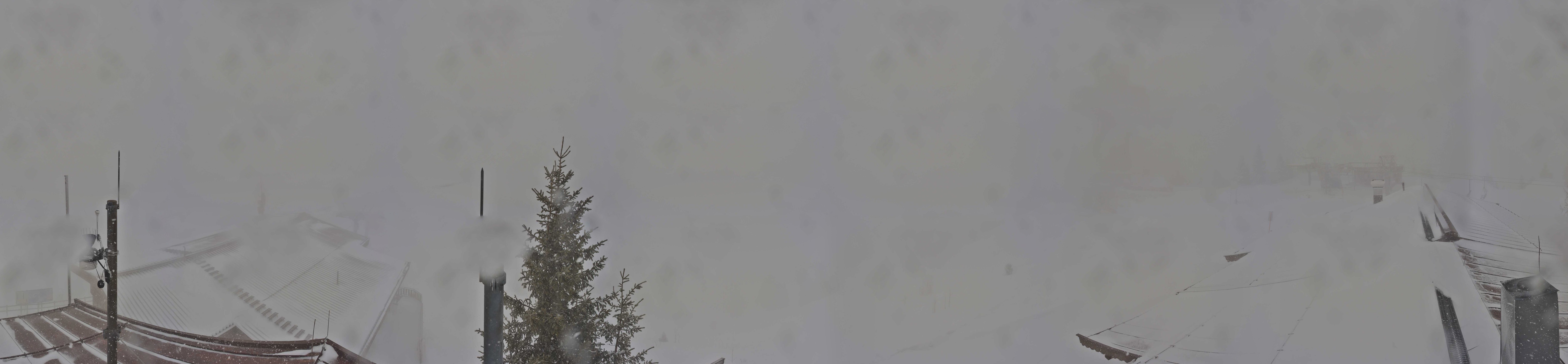 Archiv Foto Webcam Jakobskreuz im Pillerseetal