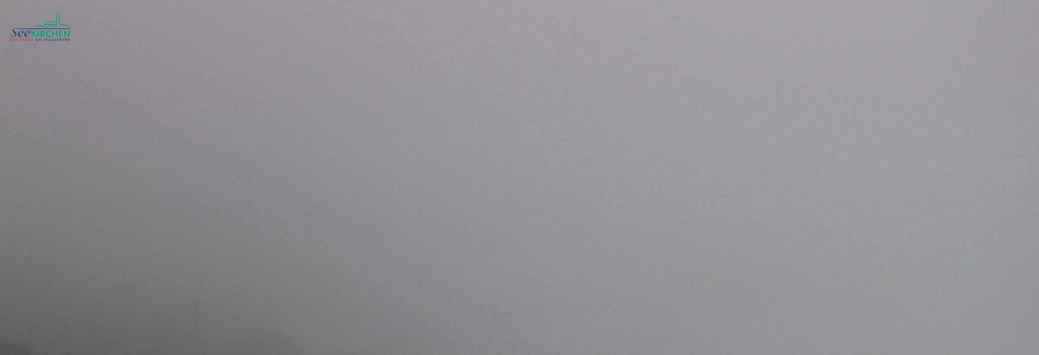 Archiv Foto Webcam Blick von Seekirchen auf den Wallersee