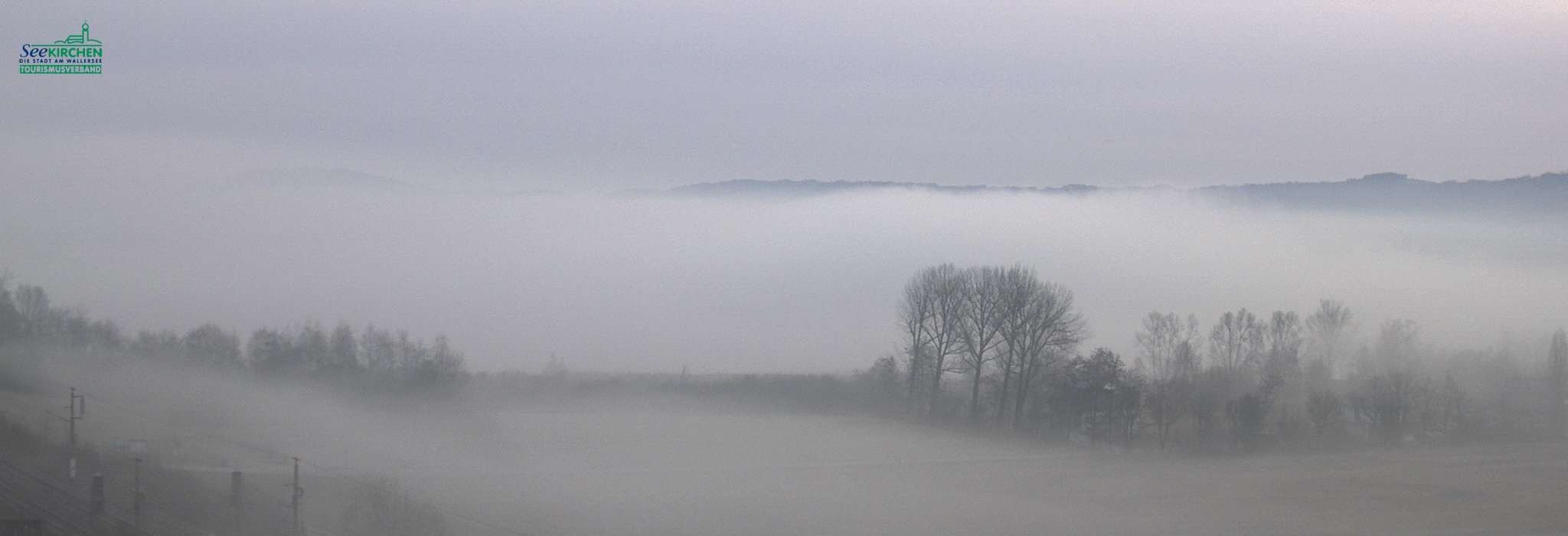 Archiv Foto Webcam Blick von Seekirchen auf den Wallersee