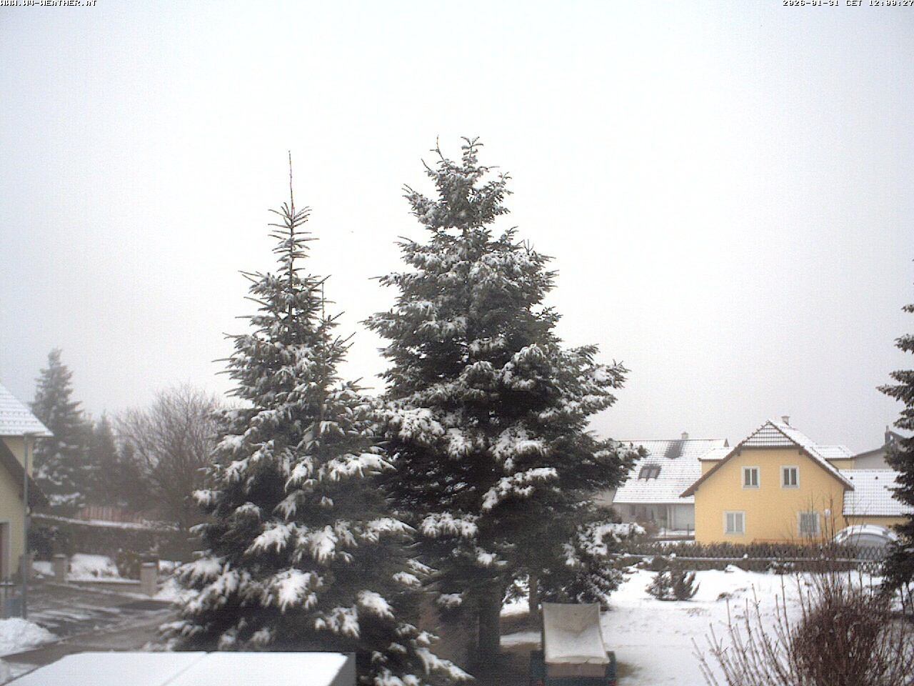 Archiv Foto Webcam Gföhl - Blick auf das Waldviertel
