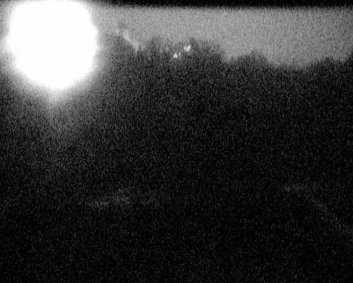 Archiv Foto Webcam Mariensteg - Wernstein am Inn