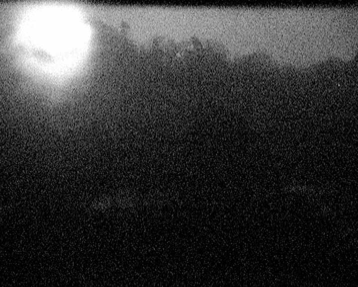 Archiv Foto Webcam Mariensteg - Wernstein am Inn