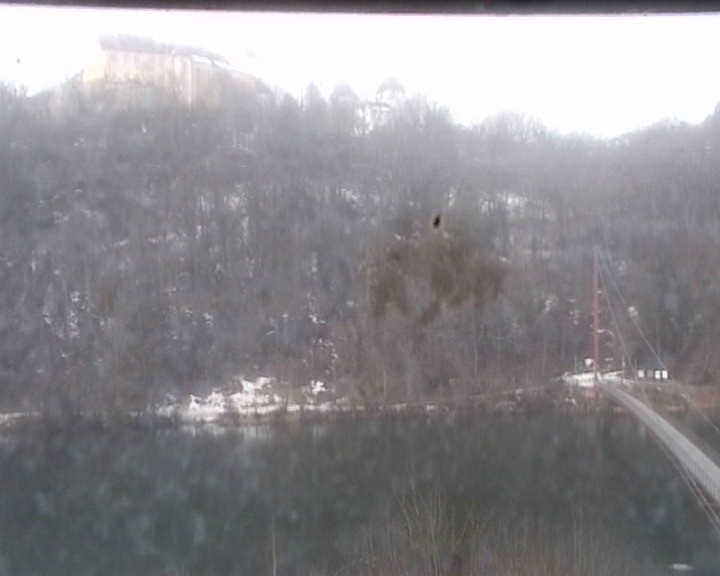 Archiv Foto Webcam Mariensteg - Wernstein am Inn