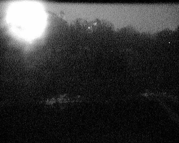 Archiv Foto Webcam Mariensteg - Wernstein am Inn