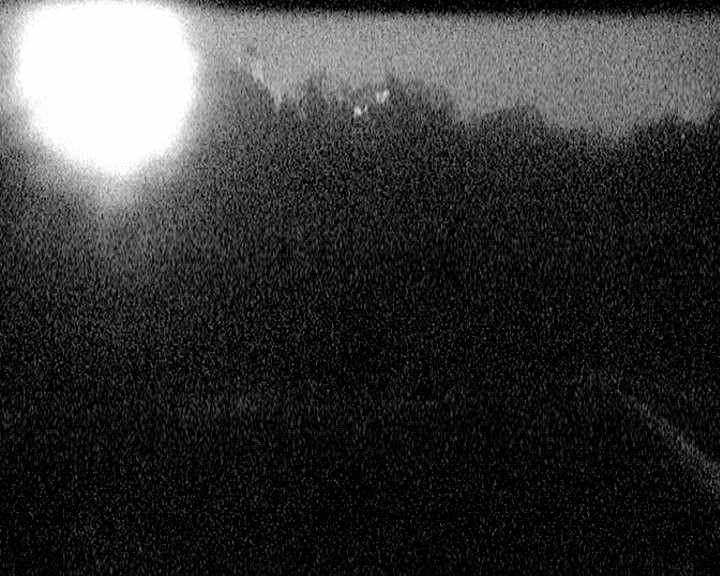 Archiv Foto Webcam Mariensteg - Wernstein am Inn