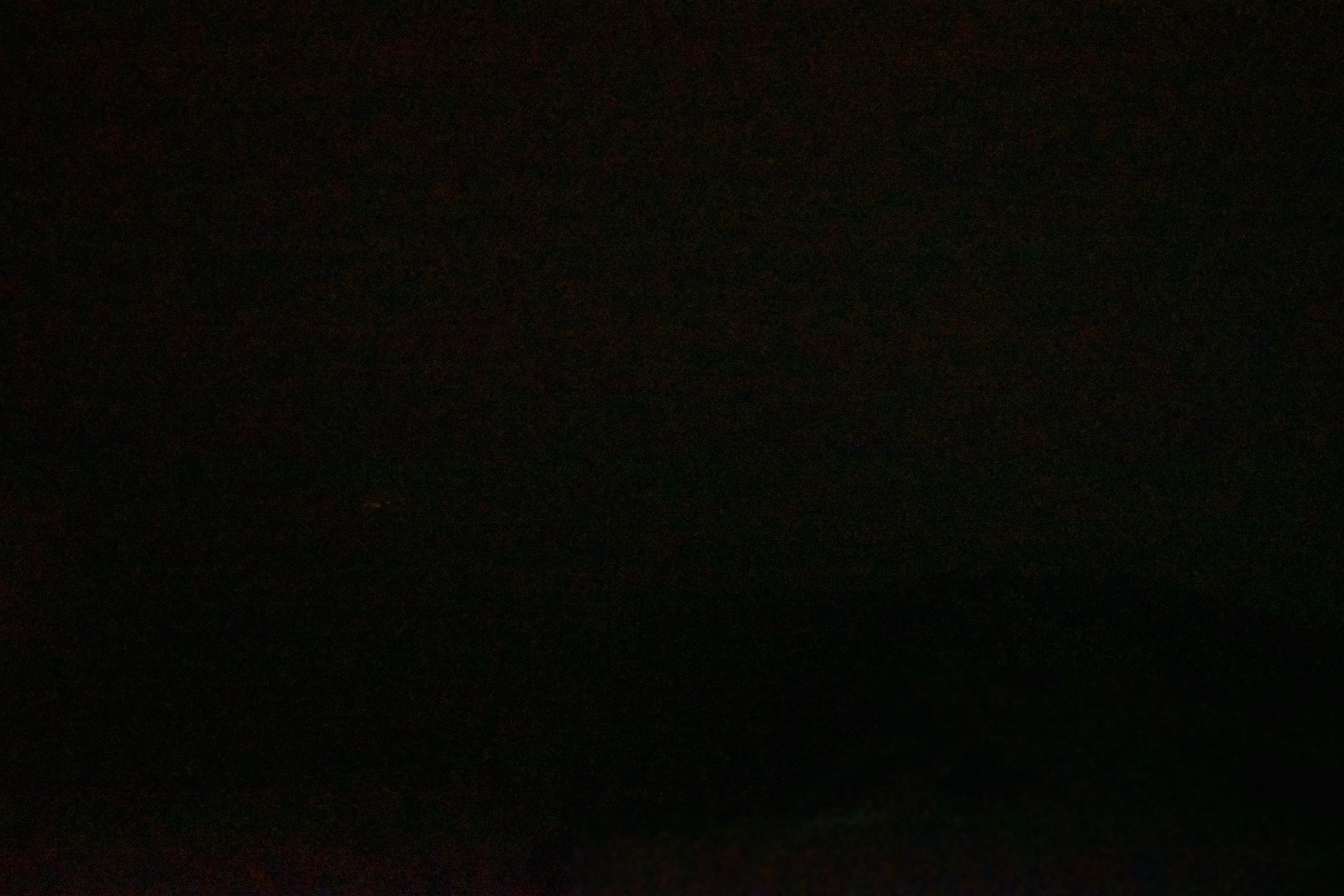 Archived image Webcam Sunnega