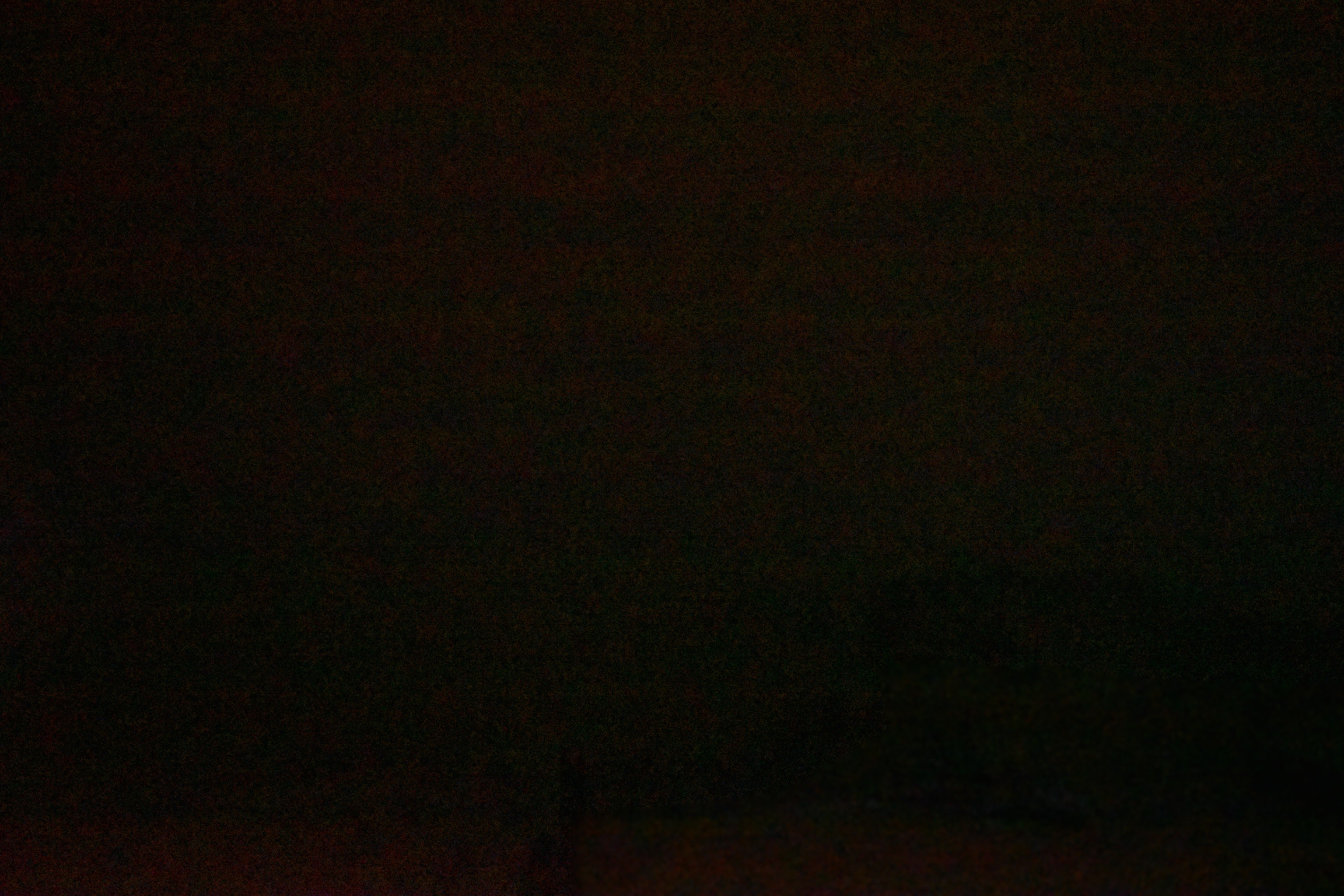 Archived image Webcam Sunnega