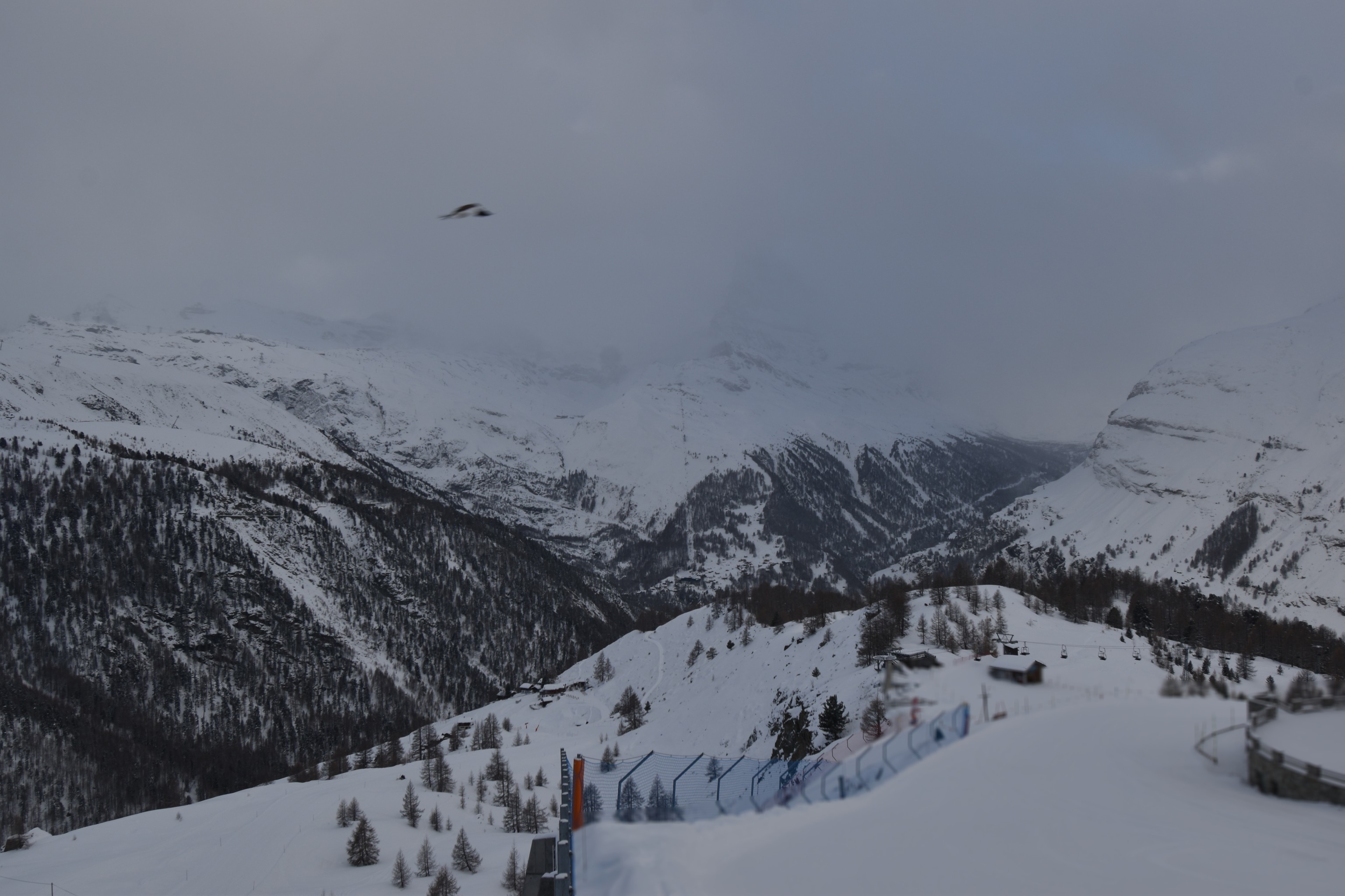 Archiv Foto Webcam Zermatt - Sunnega