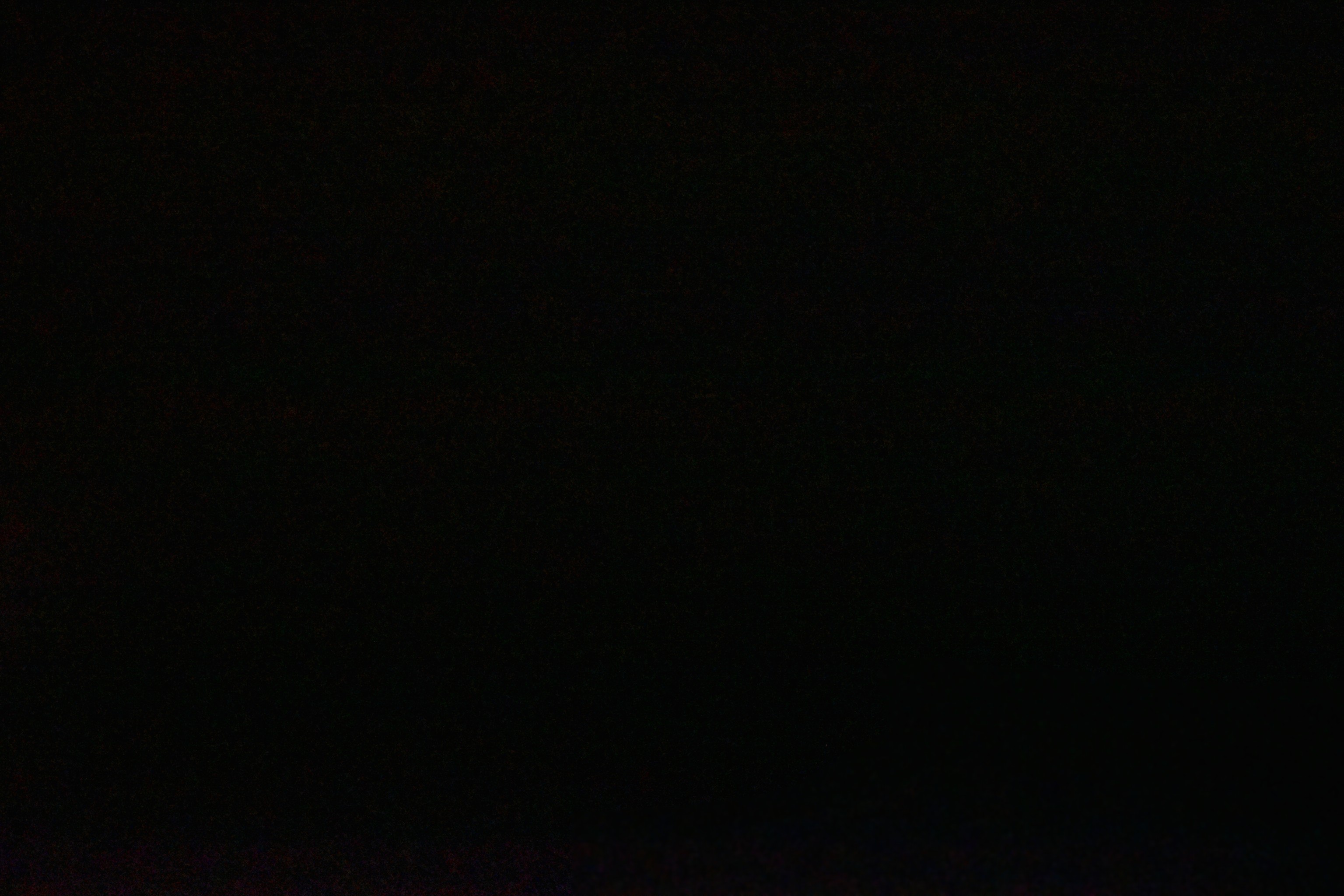 Archived image Webcam Sunnega