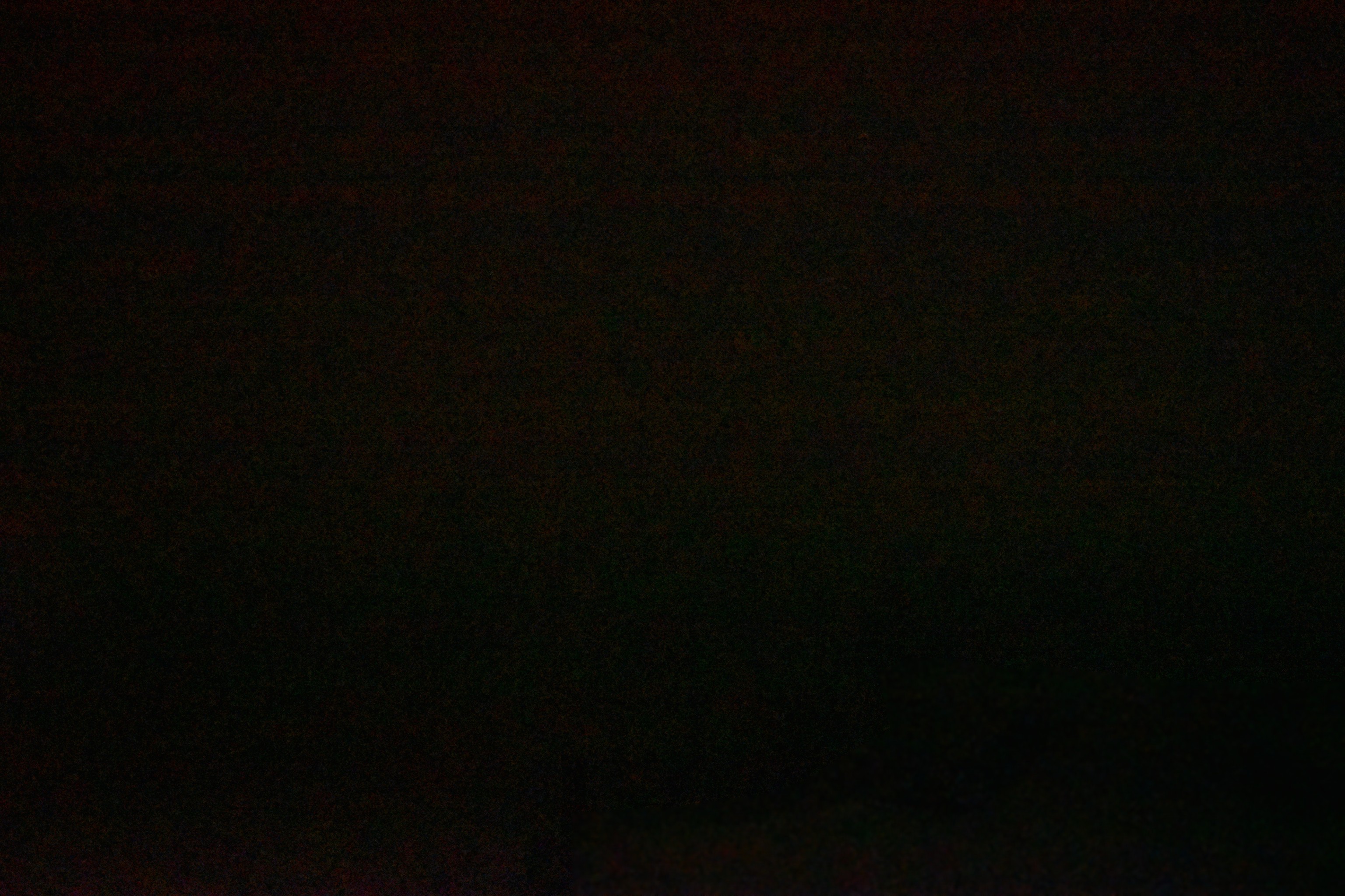 Archived image Webcam Sunnega