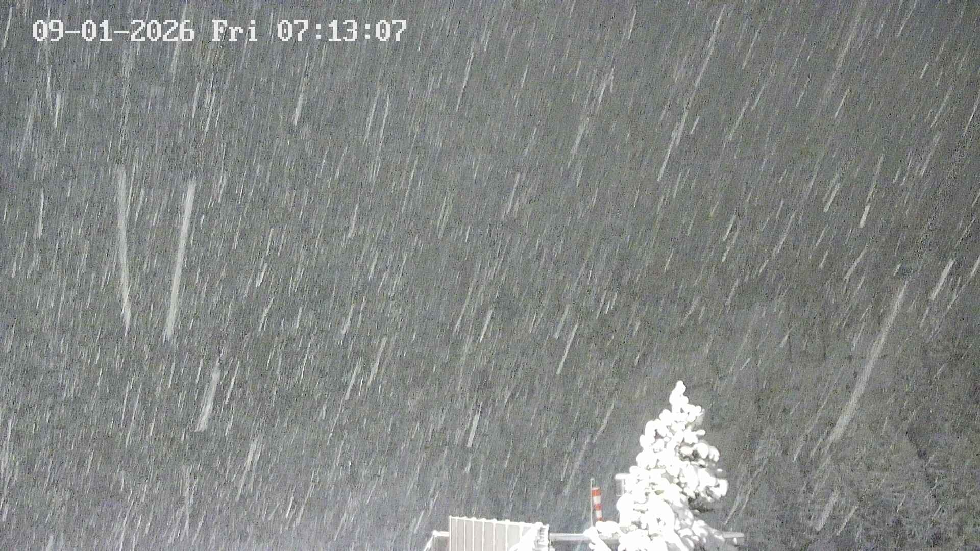 Archived image Webcam Heliport Zermatt