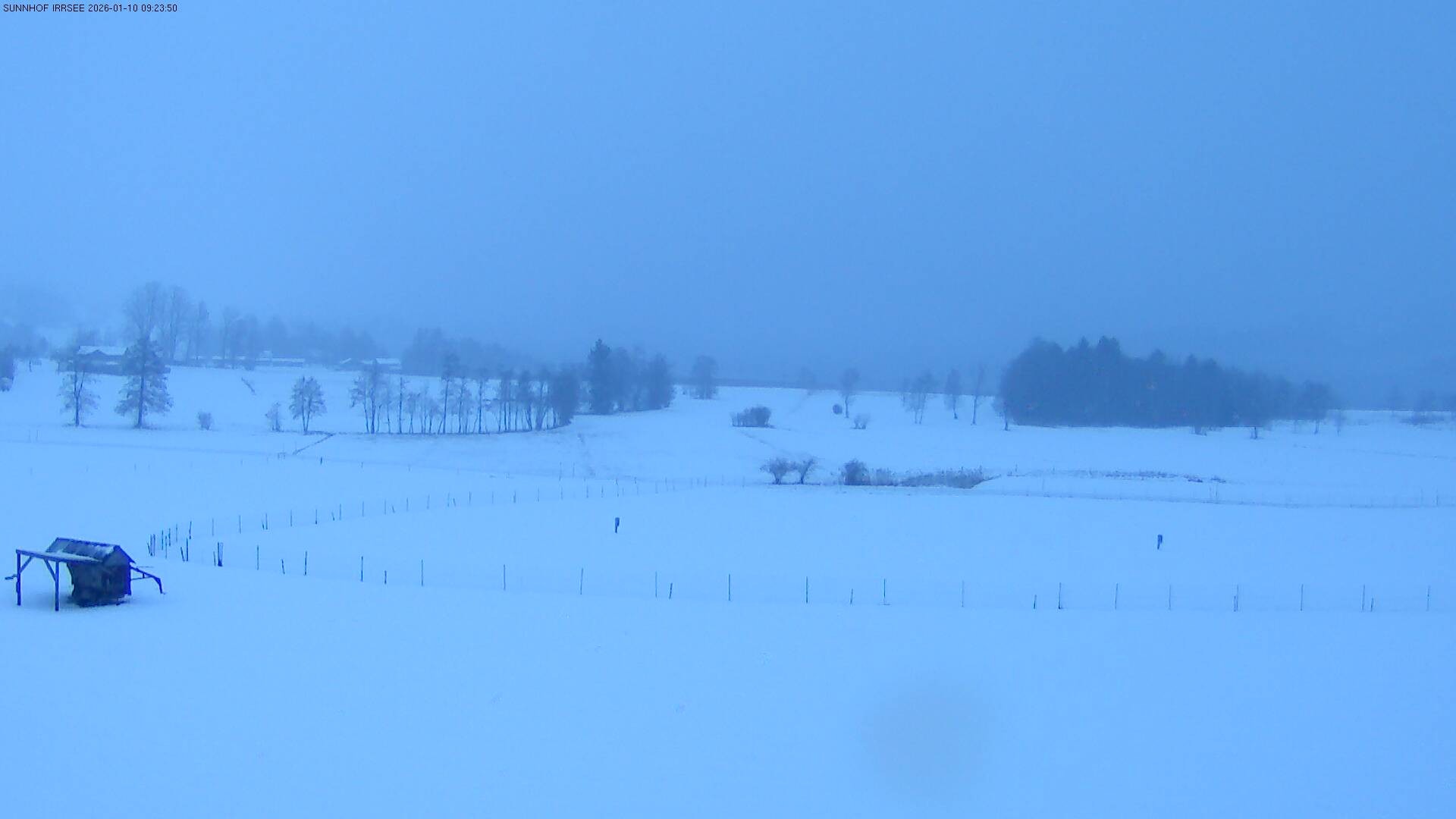 Archiv Foto Webcam Blick auf den Irrsee im Salzkammergut