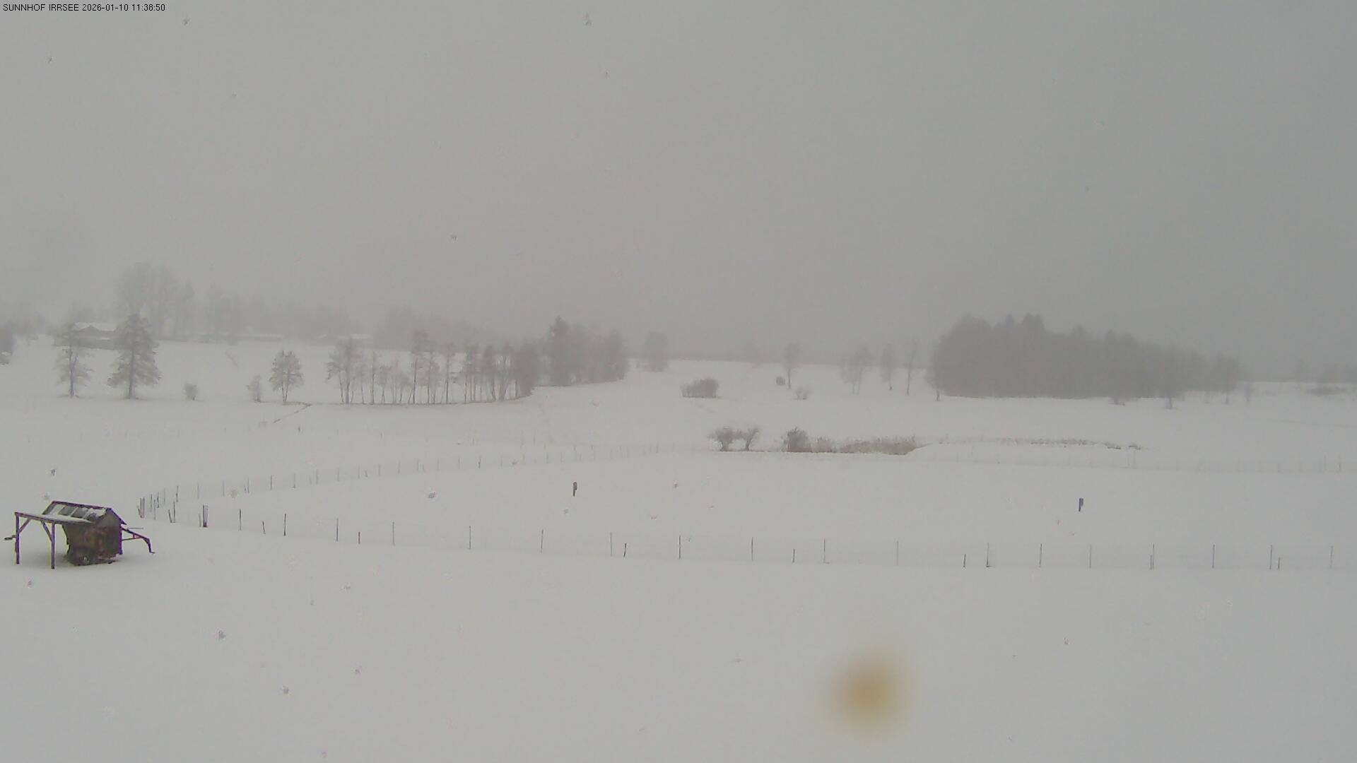 Archiv Foto Webcam Blick auf den Irrsee im Salzkammergut