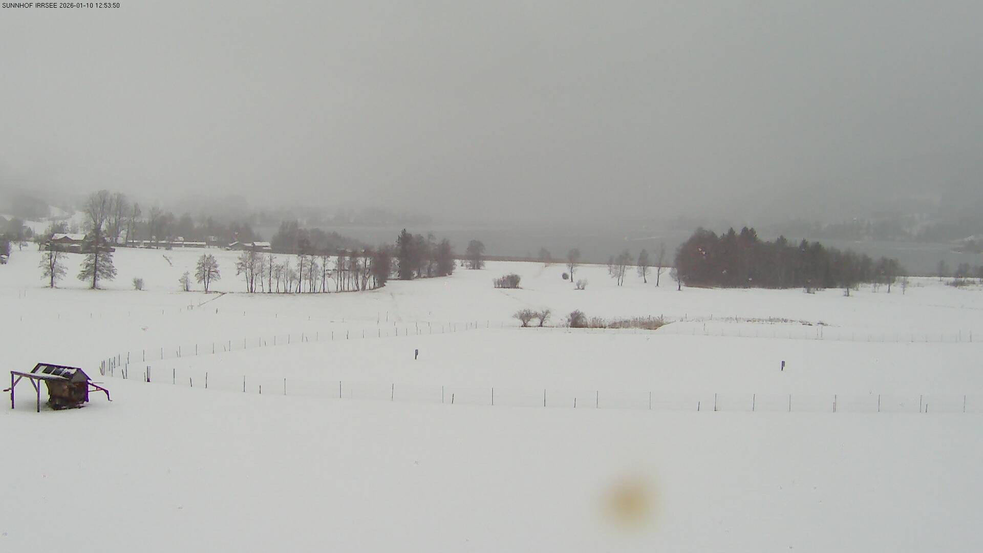 Archiv Foto Webcam Blick auf den Irrsee im Salzkammergut