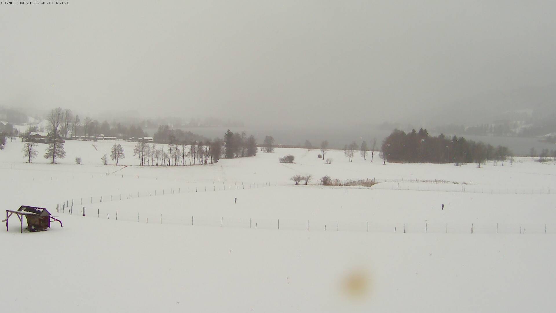 Archiv Foto Webcam Blick auf den Irrsee im Salzkammergut
