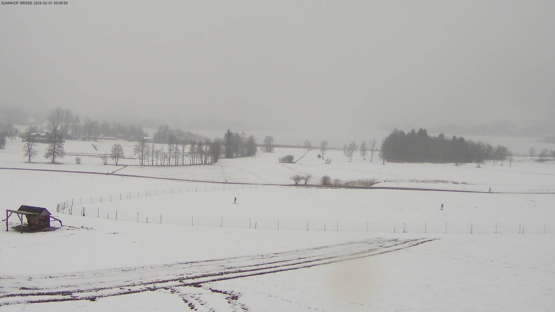Archiv Foto Webcam Blick auf den Irrsee im Salzkammergut