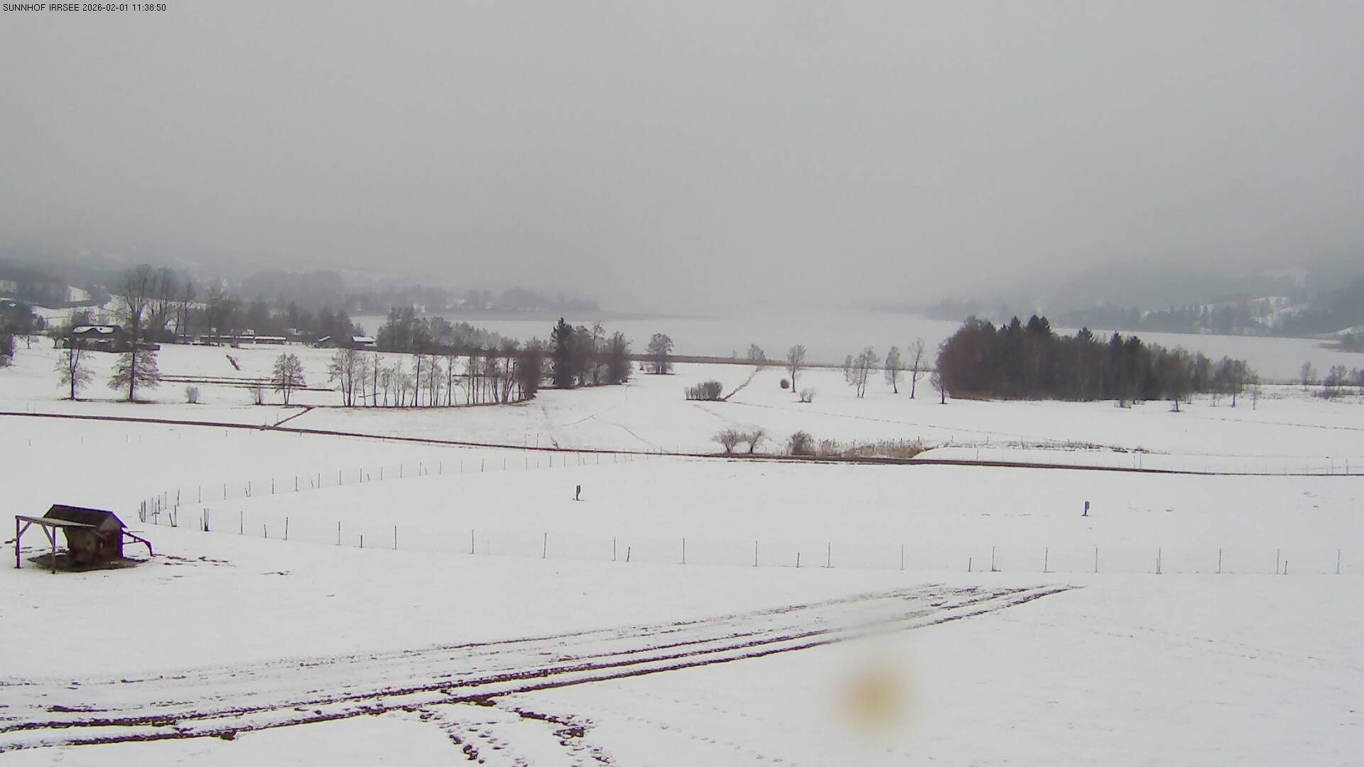 Archiv Foto Webcam Blick auf den Irrsee im Salzkammergut