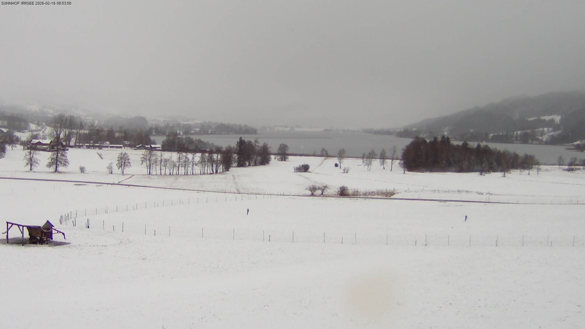 Archiv Foto Webcam Blick auf den Irrsee im Salzkammergut