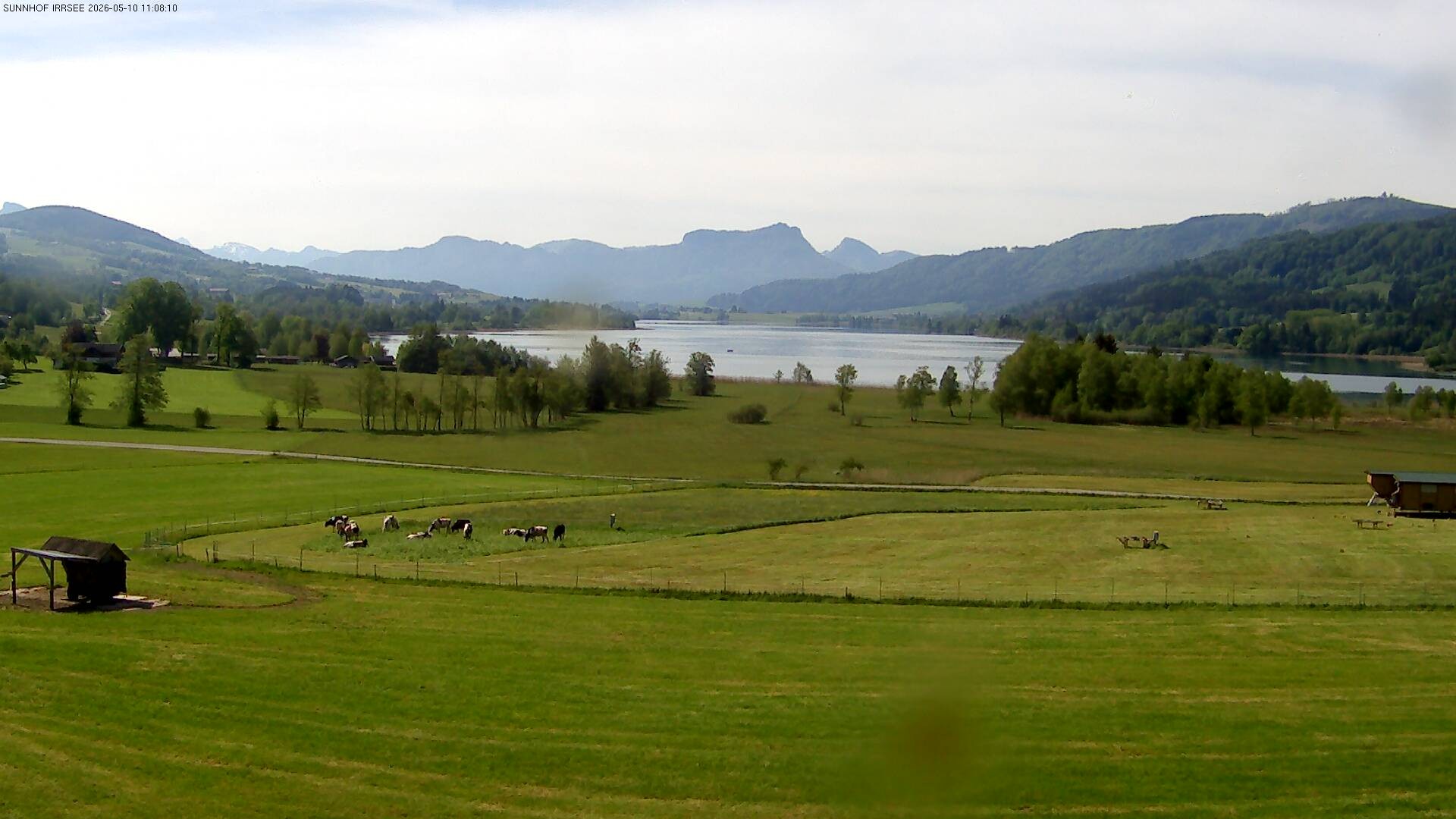 Archiv Foto Webcam Blick auf den Irrsee im Salzkammergut