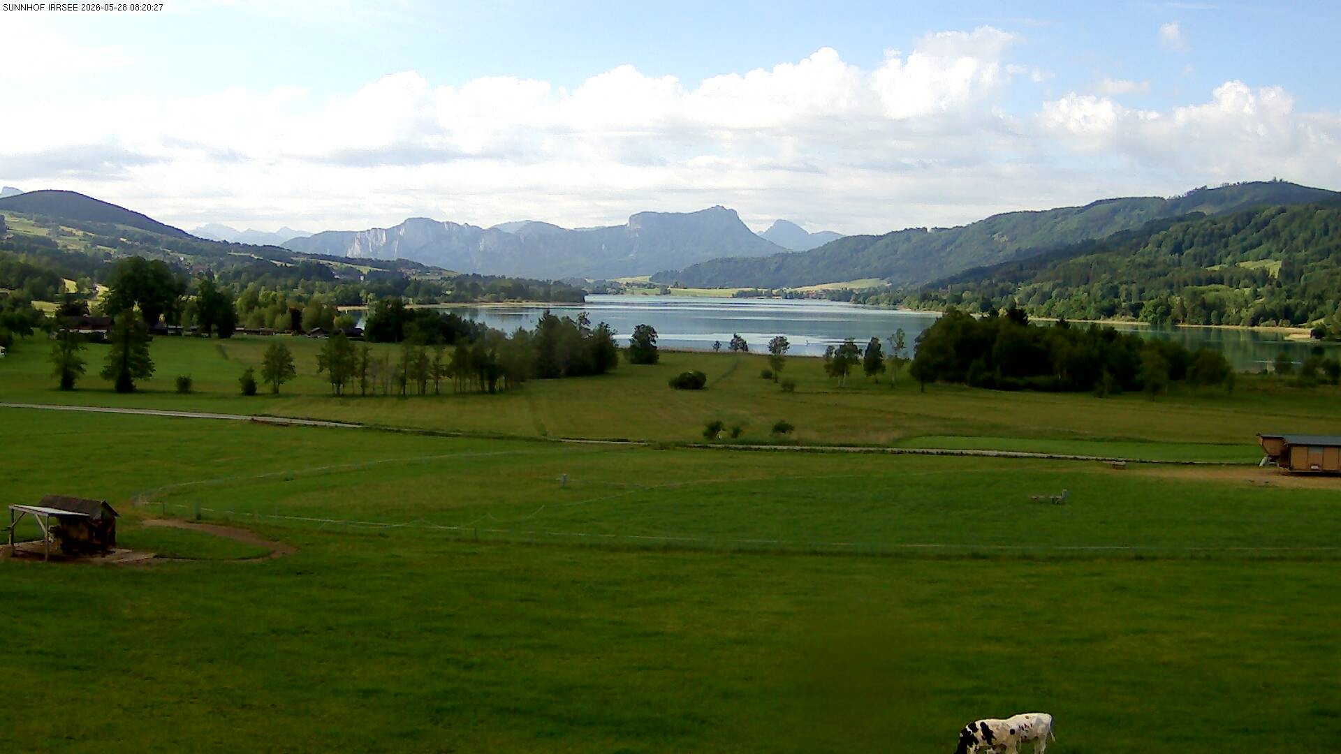 Archiv Foto Webcam Blick auf den Irrsee im Salzkammergut