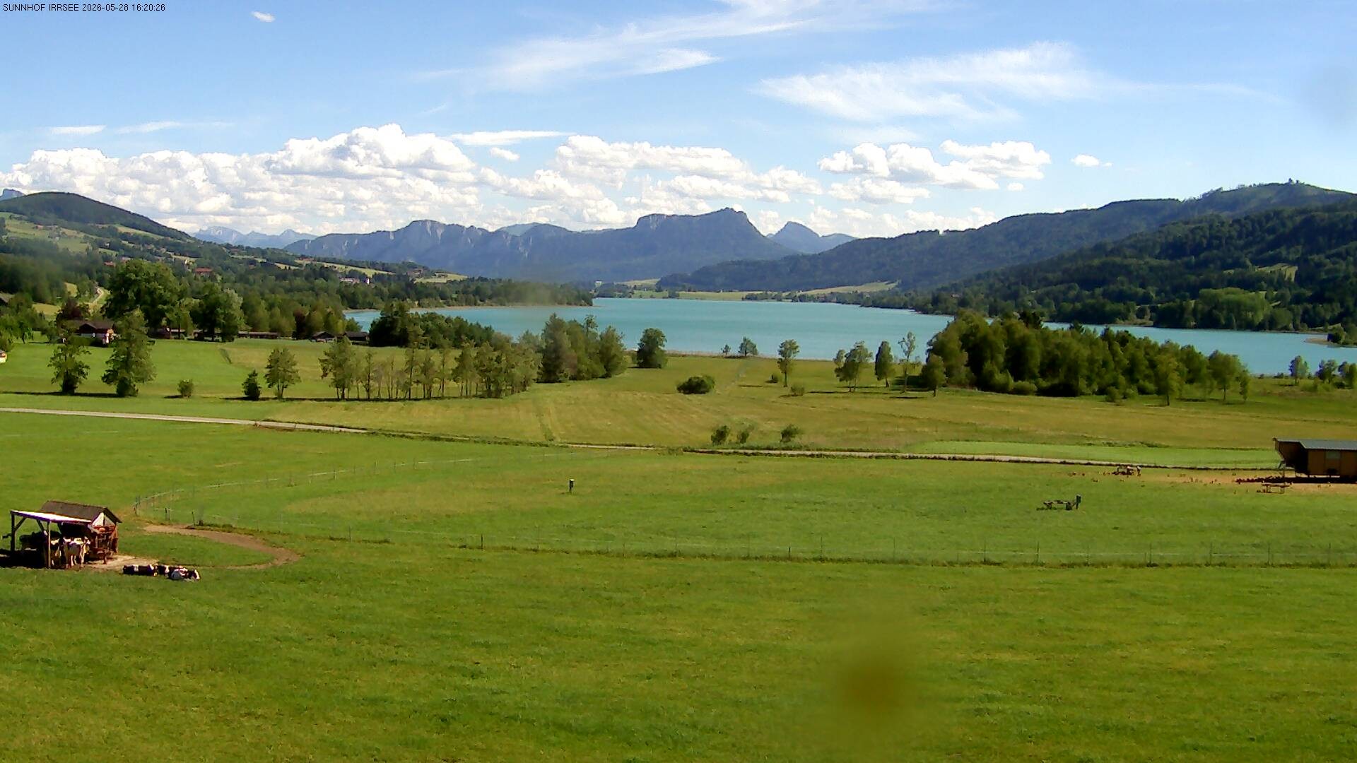 Archiv Foto Webcam Blick auf den Irrsee im Salzkammergut