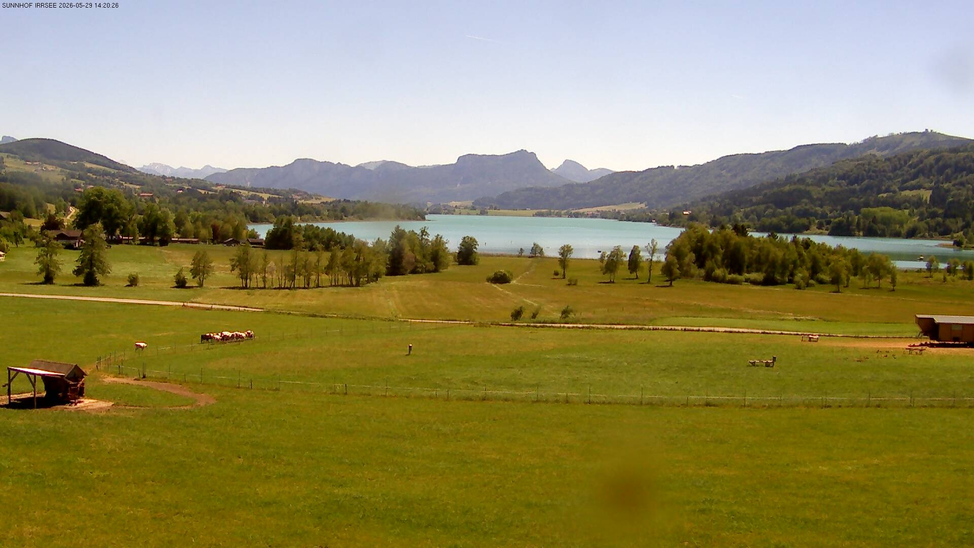Archiv Foto Webcam Blick auf den Irrsee im Salzkammergut