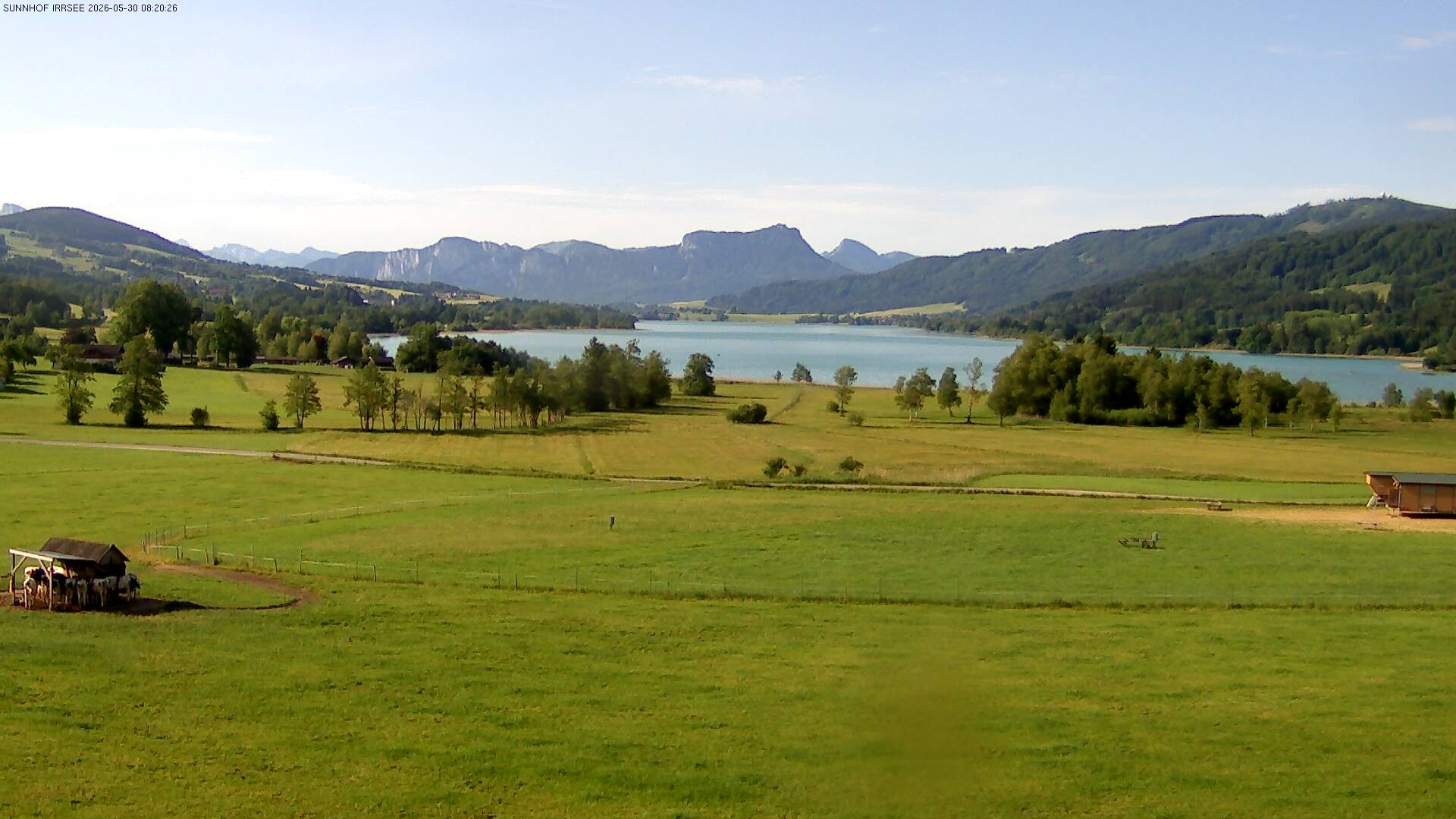 Archiv Foto Webcam Blick auf den Irrsee im Salzkammergut