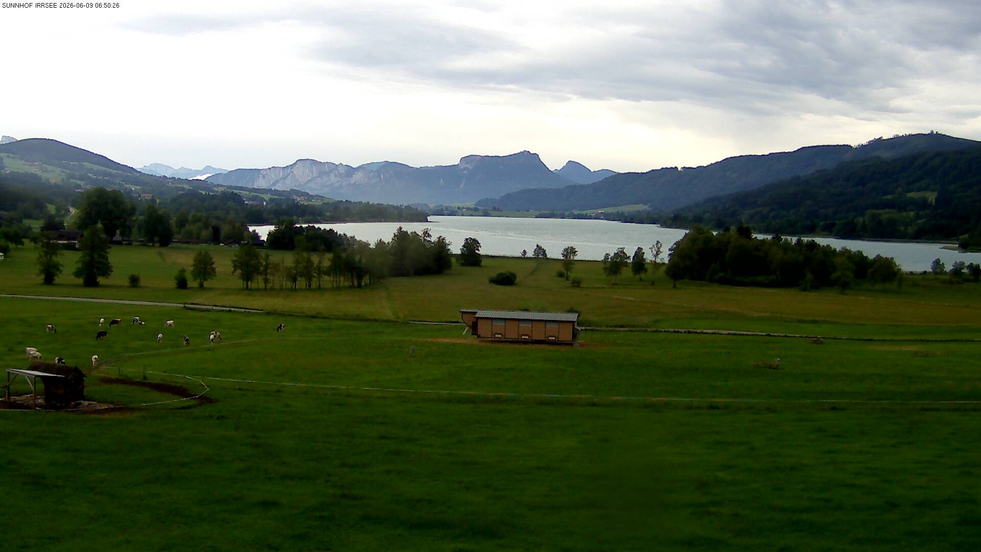 Archiv Foto Webcam Blick auf den Irrsee im Salzkammergut