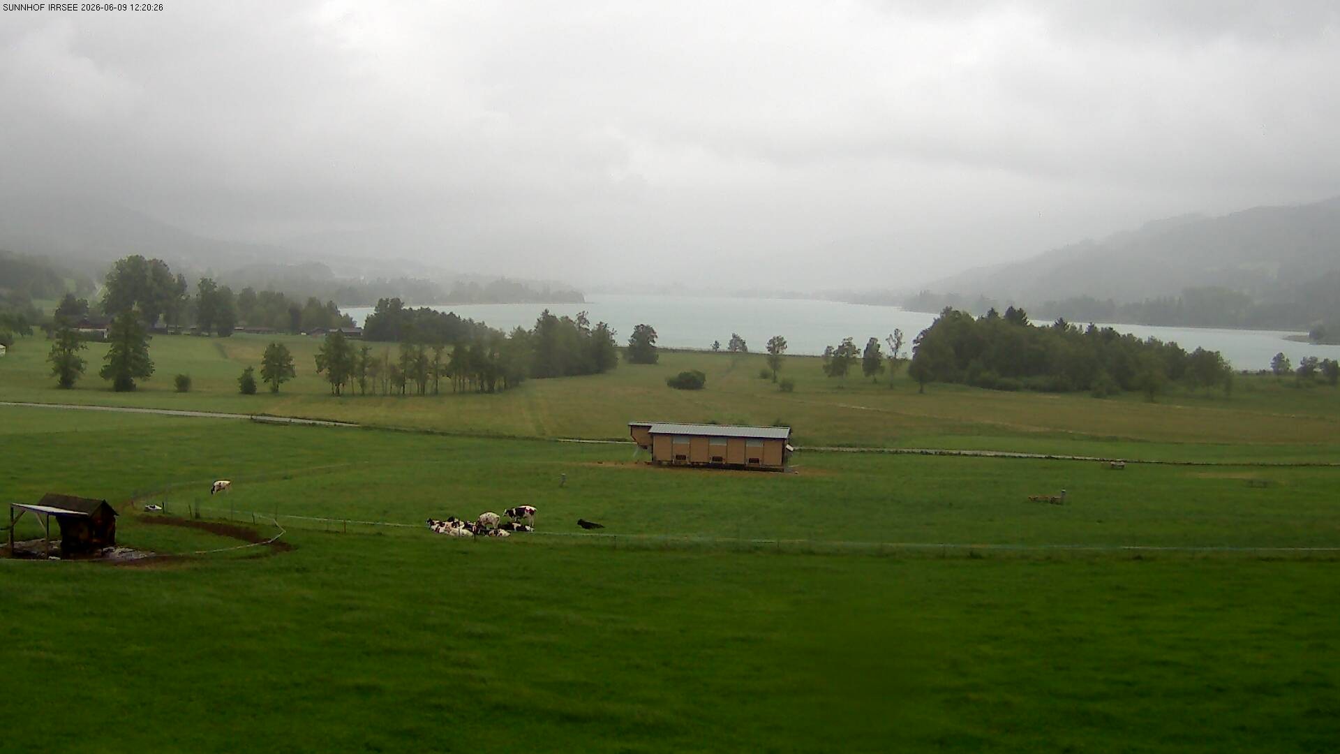 Archiv Foto Webcam Blick auf den Irrsee im Salzkammergut