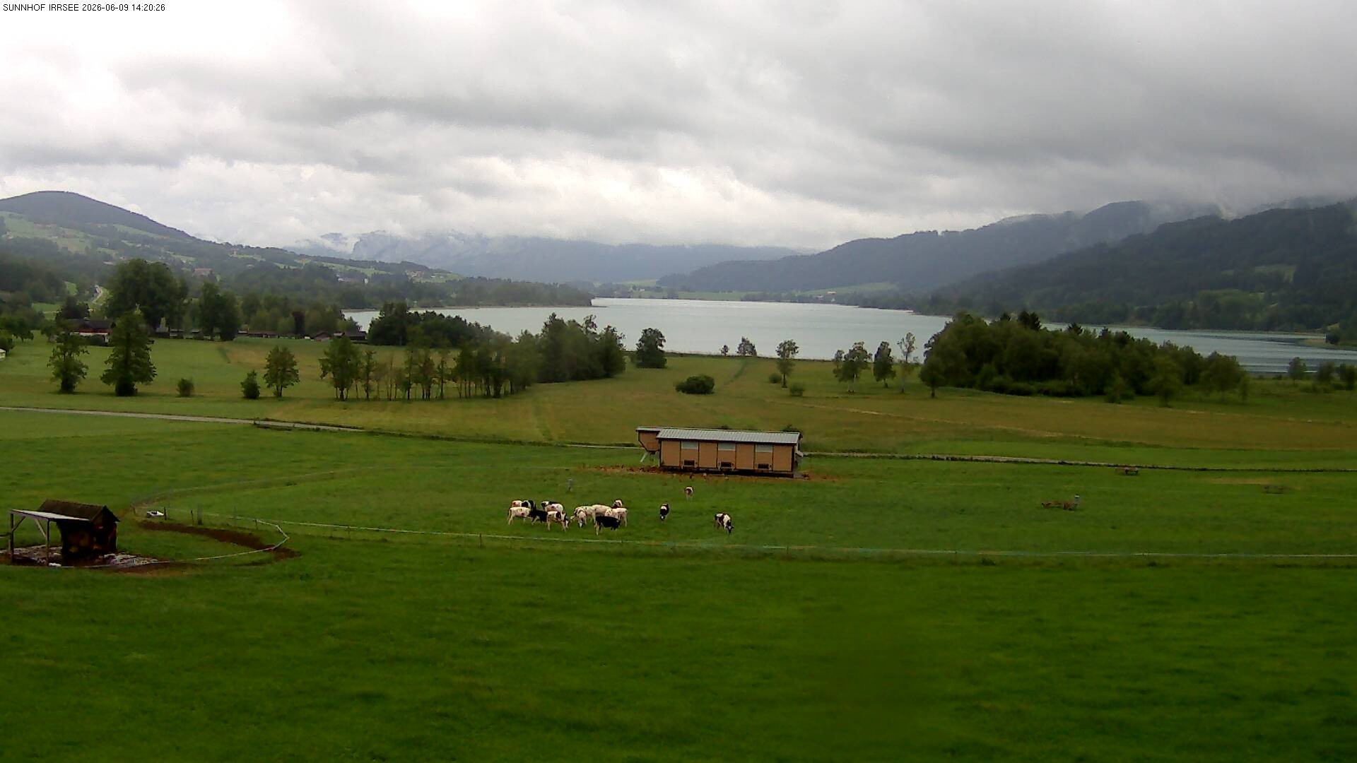 Archiv Foto Webcam Blick auf den Irrsee im Salzkammergut