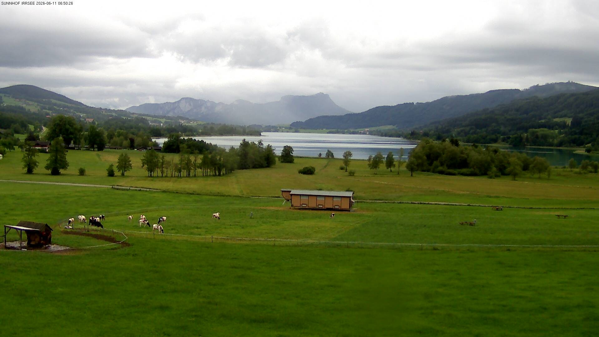 Archiv Foto Webcam Blick auf den Irrsee im Salzkammergut