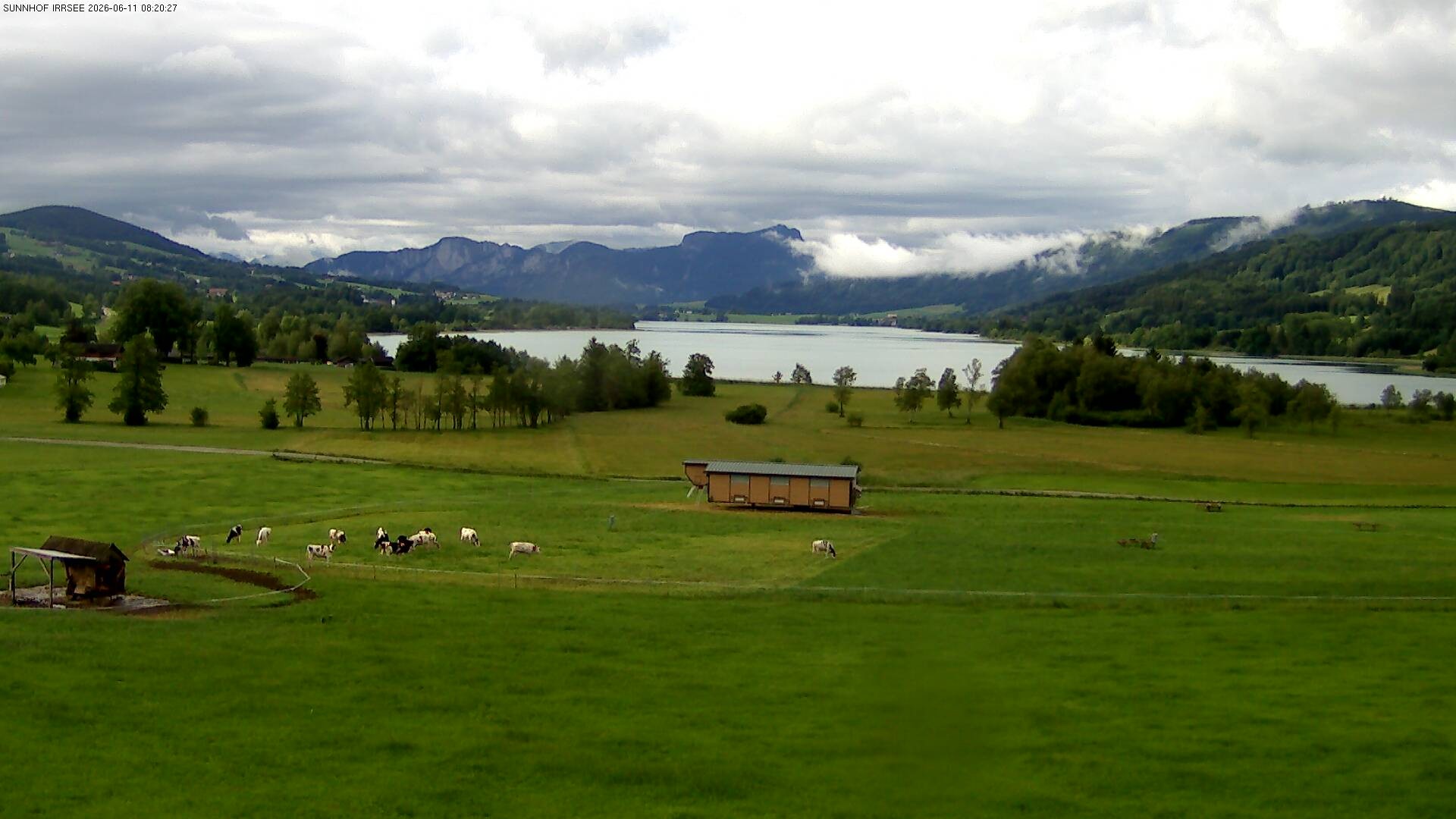 Archiv Foto Webcam Blick auf den Irrsee im Salzkammergut
