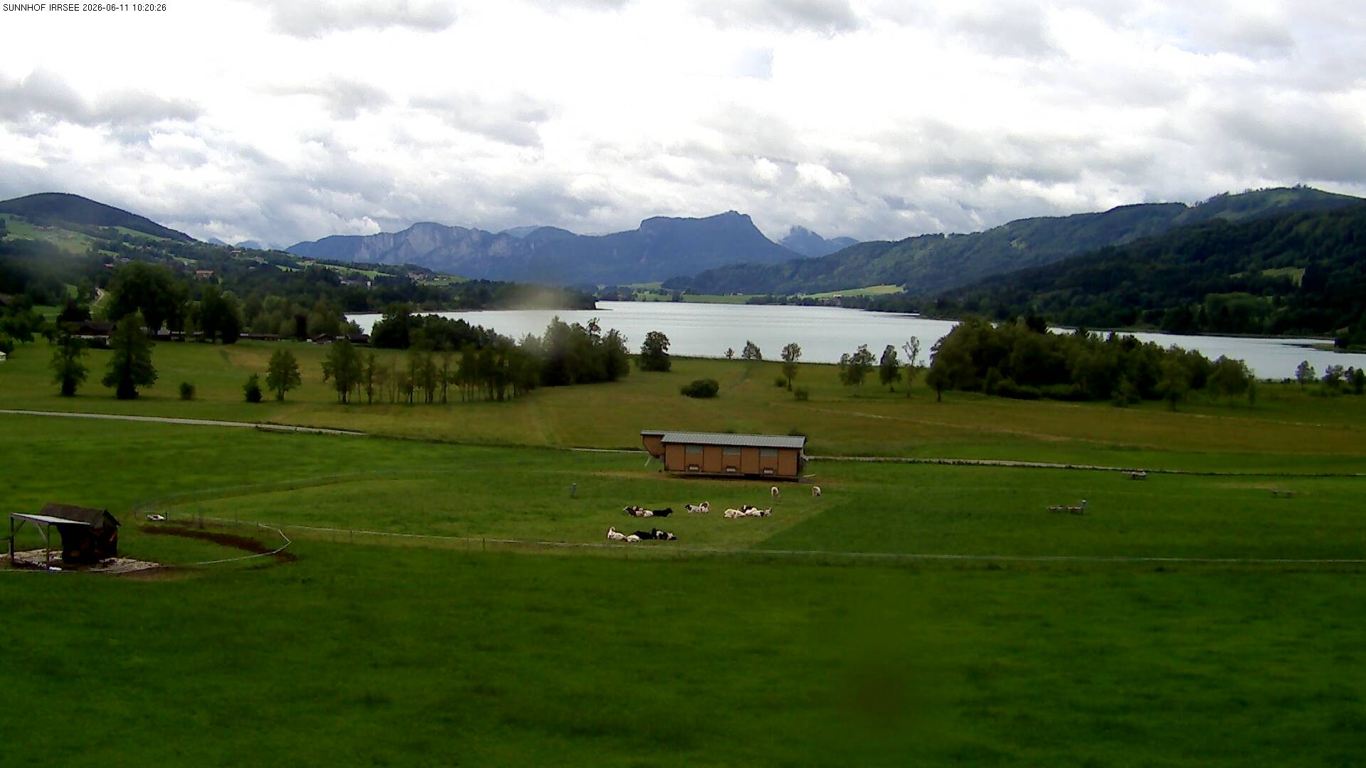 Archiv Foto Webcam Blick auf den Irrsee im Salzkammergut