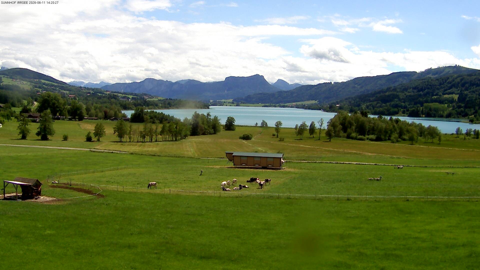 Archiv Foto Webcam Blick auf den Irrsee im Salzkammergut
