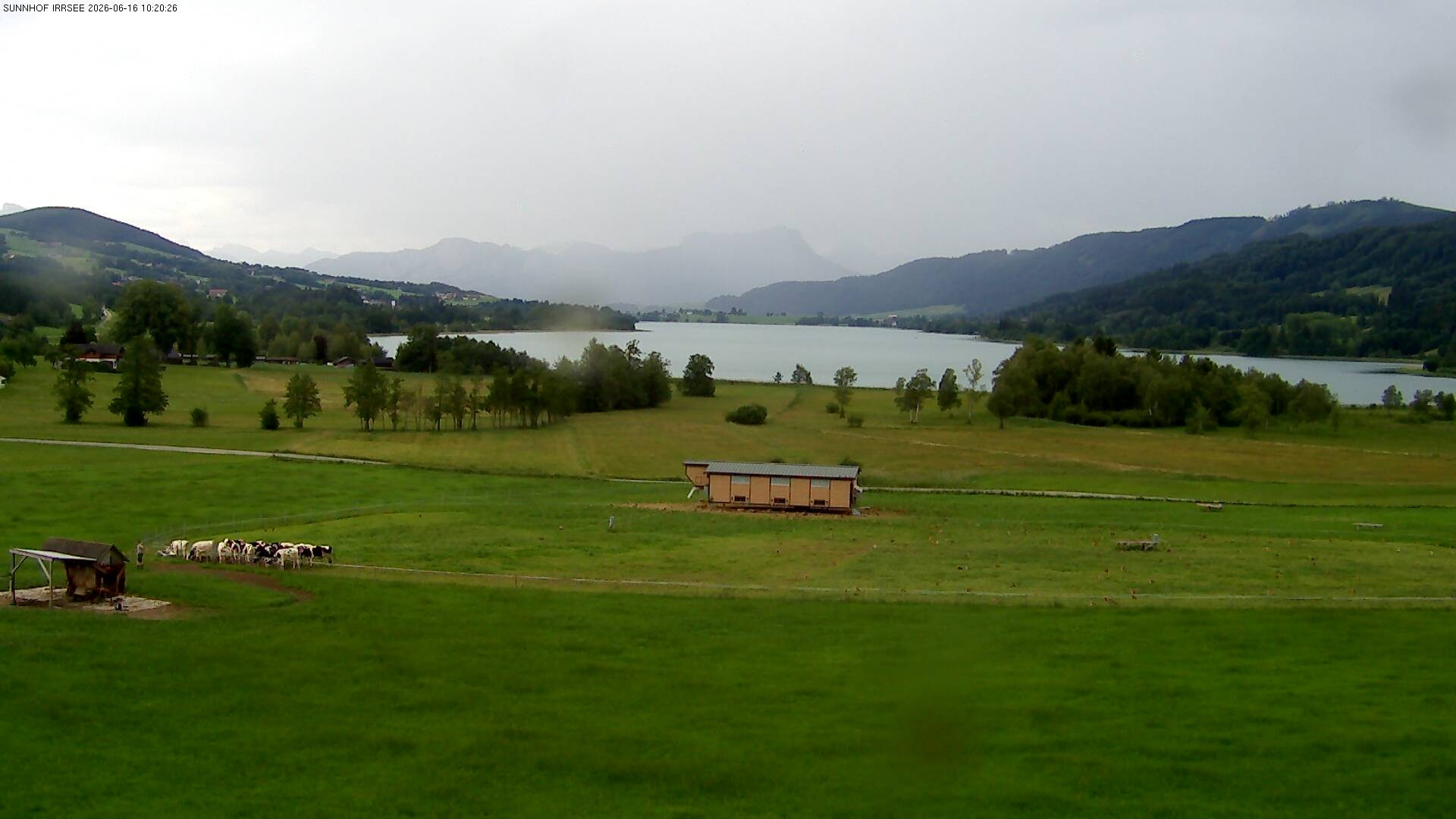 Archiv Foto Webcam Blick auf den Irrsee im Salzkammergut