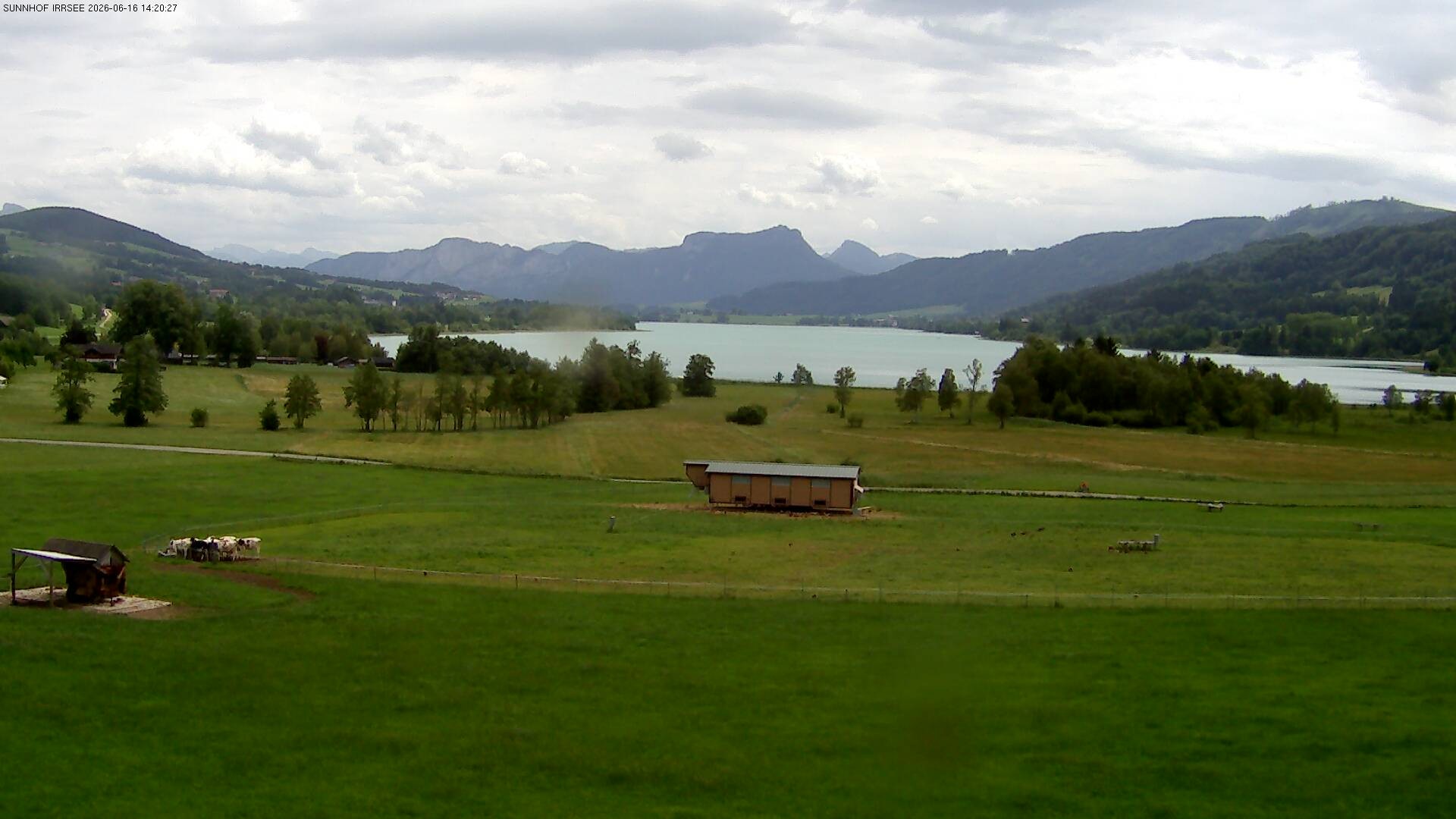 Archiv Foto Webcam Blick auf den Irrsee im Salzkammergut