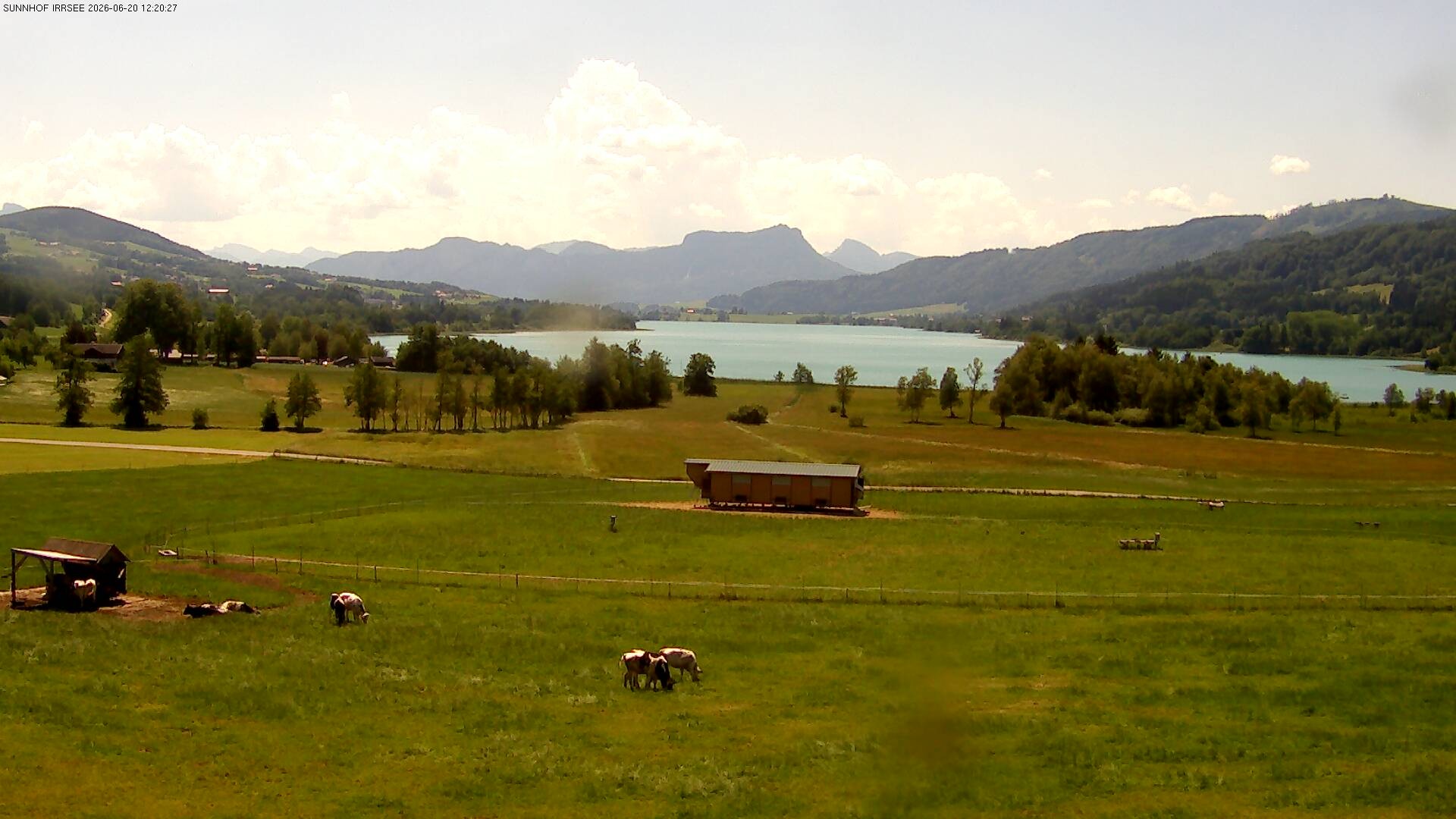 Archiv Foto Webcam Blick auf den Irrsee im Salzkammergut