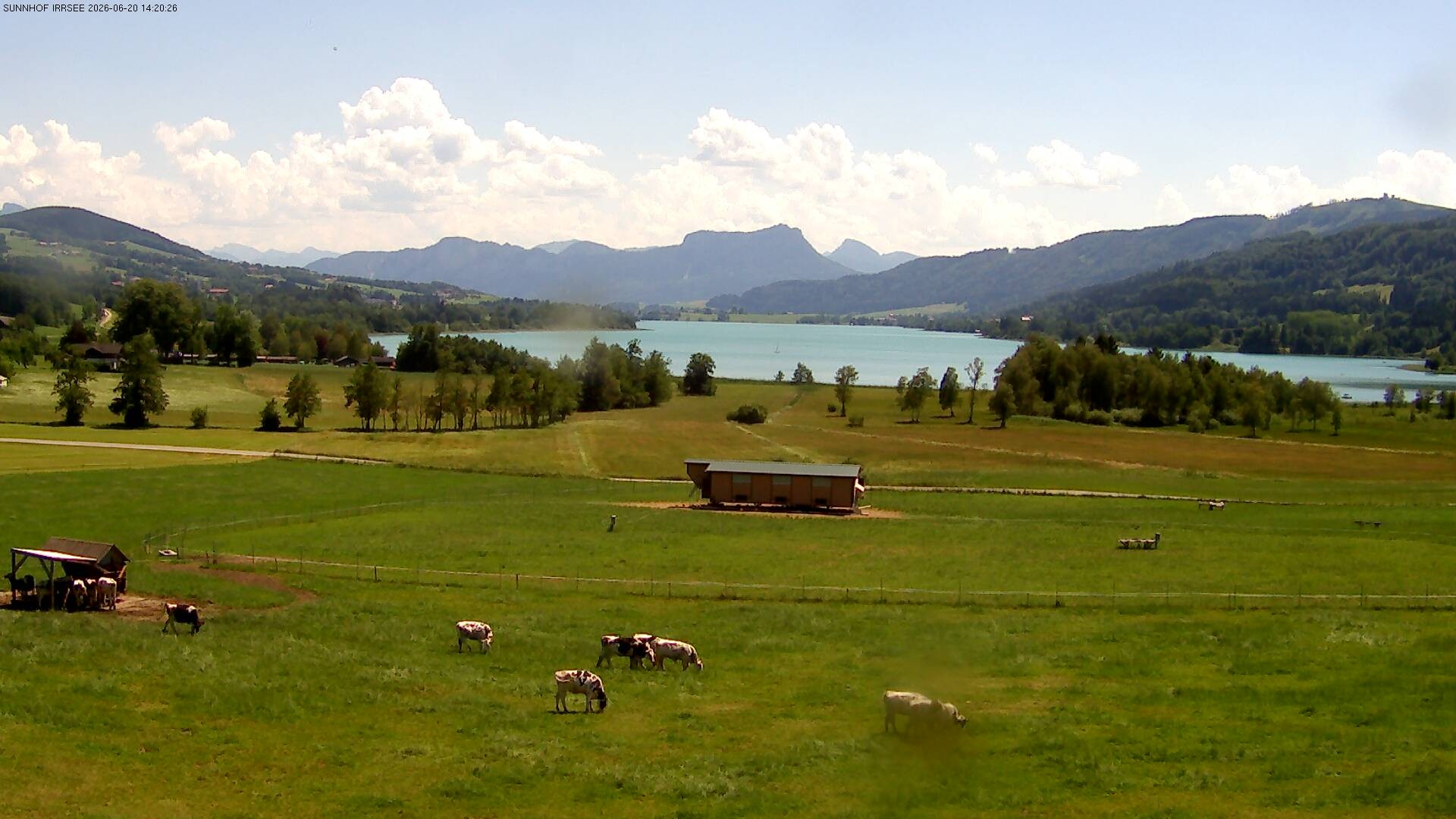 Archived image Webcam Irrsee - Salzkammergut