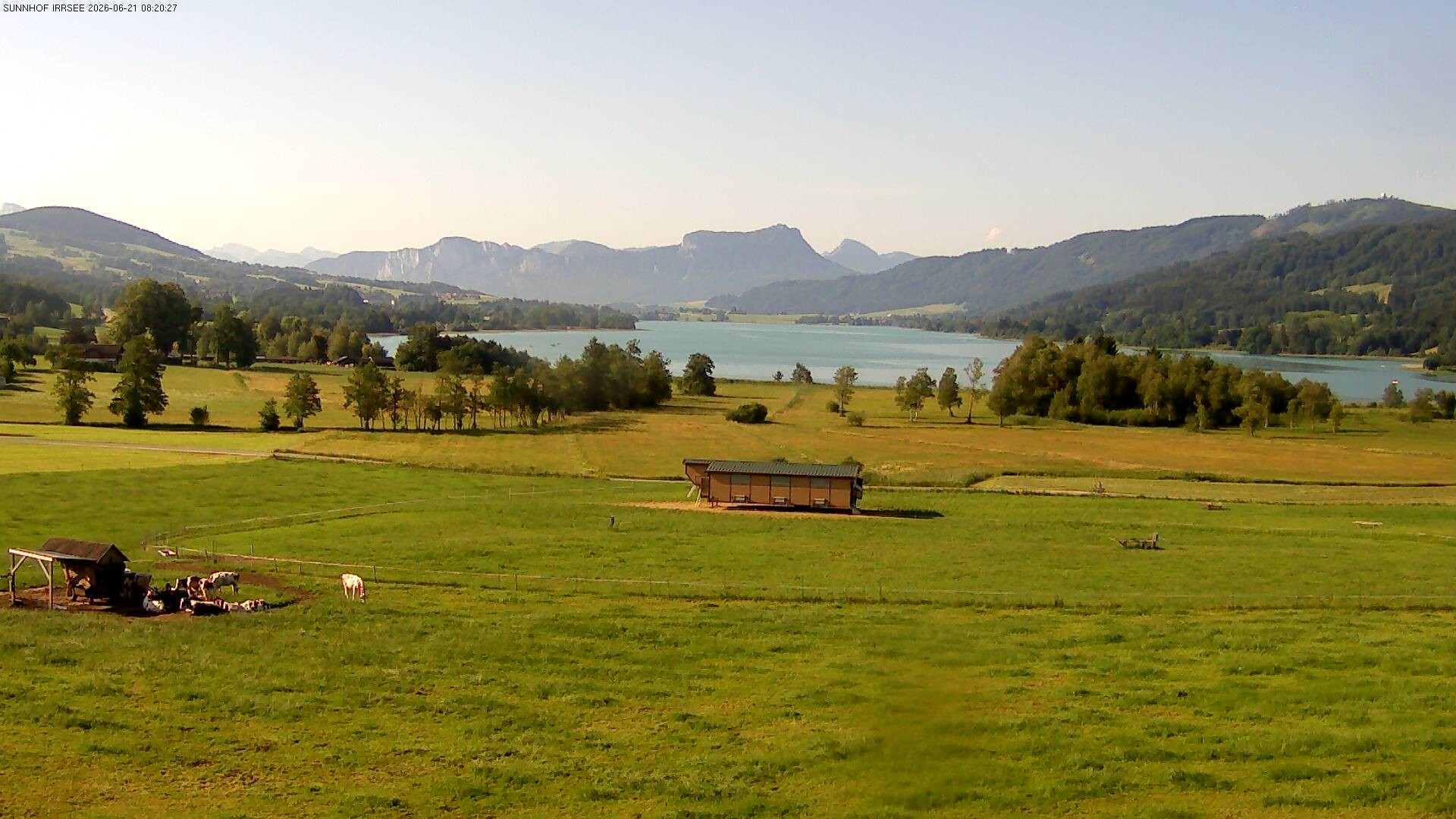 Archiv Foto Webcam Blick auf den Irrsee im Salzkammergut