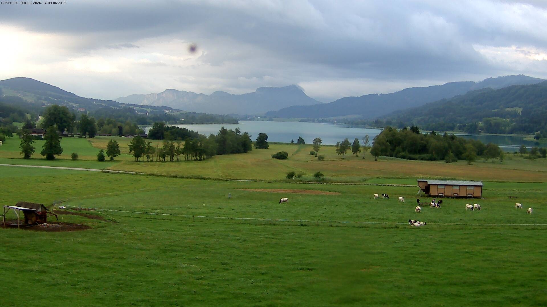 Archiv Foto Webcam Blick auf den Irrsee im Salzkammergut