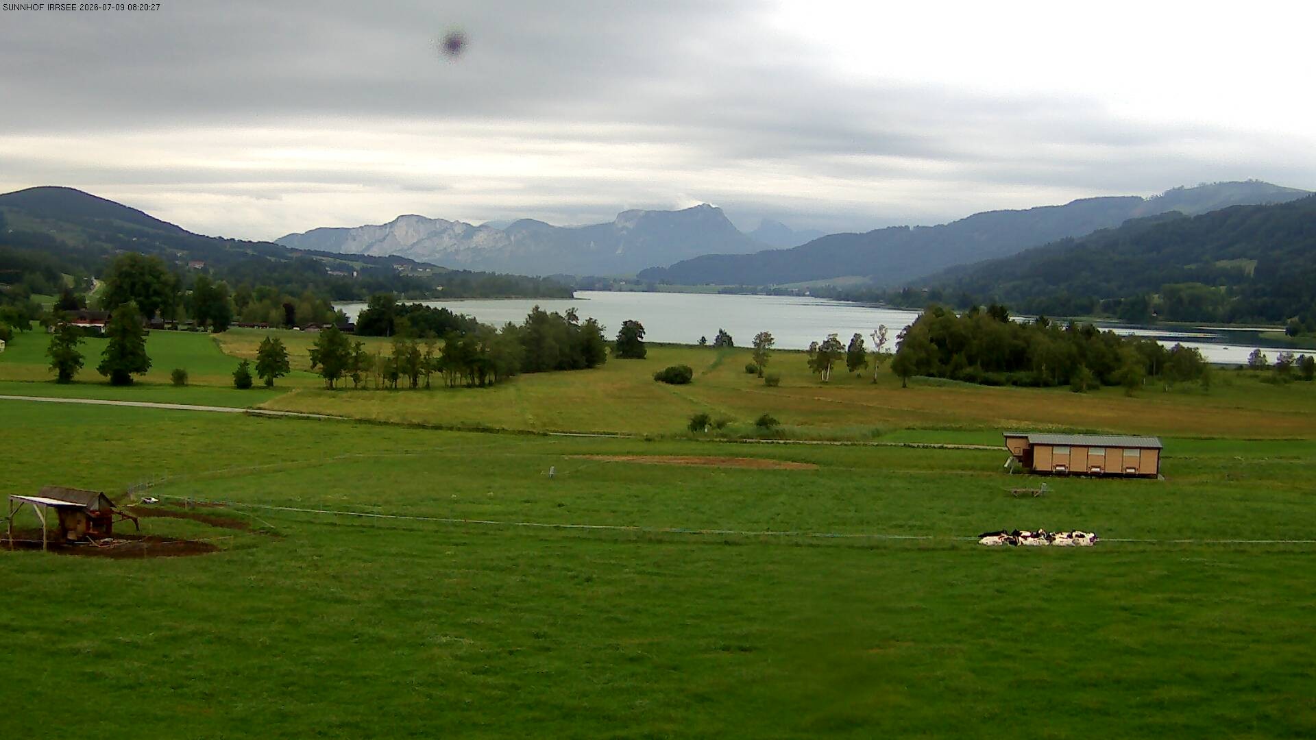 Archiv Foto Webcam Blick auf den Irrsee im Salzkammergut