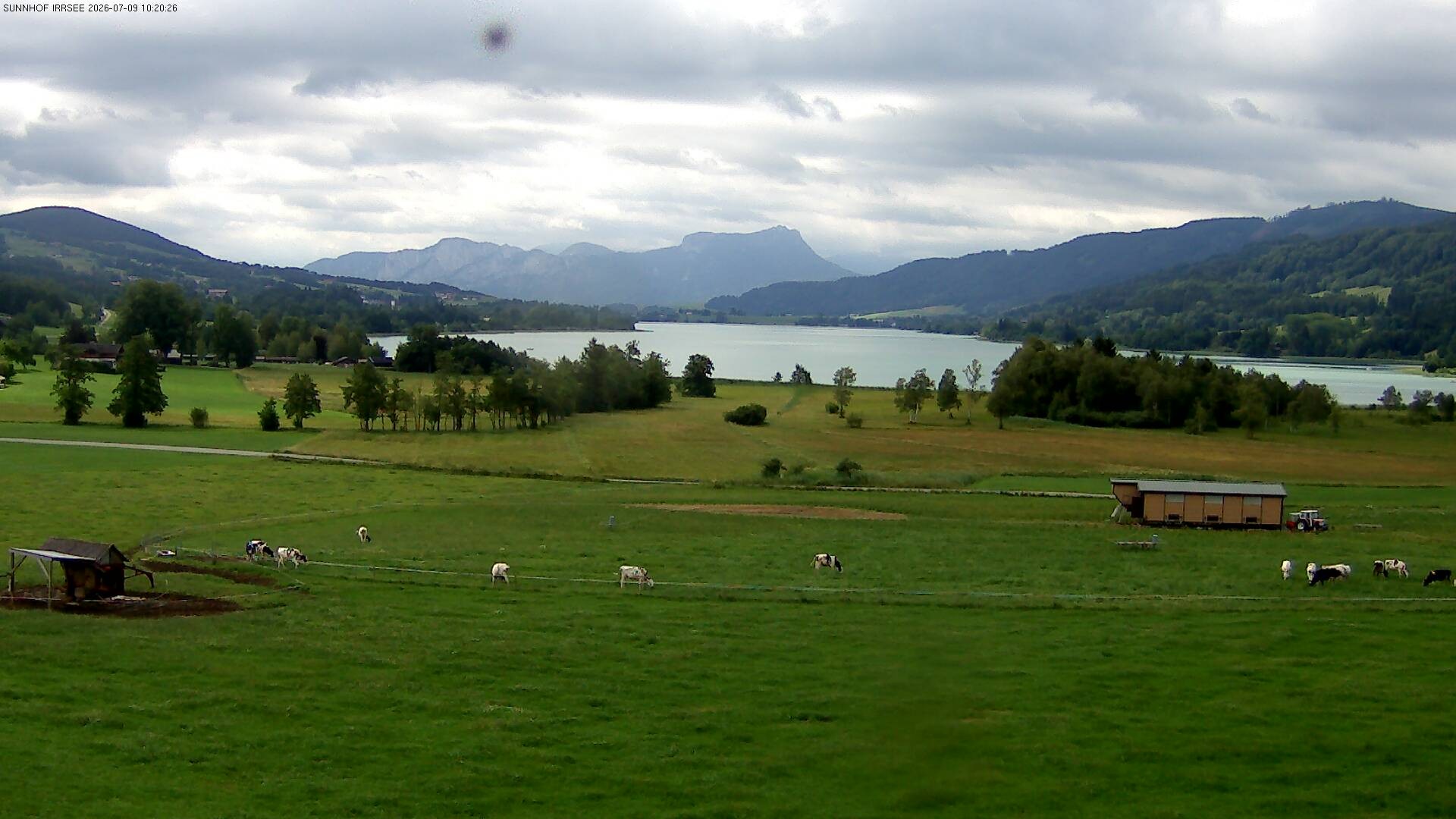 Archiv Foto Webcam Blick auf den Irrsee im Salzkammergut