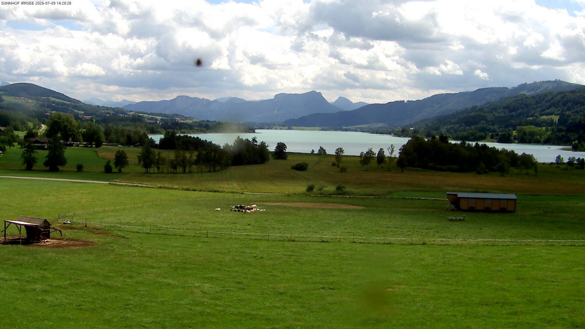 Archiv Foto Webcam Blick auf den Irrsee im Salzkammergut