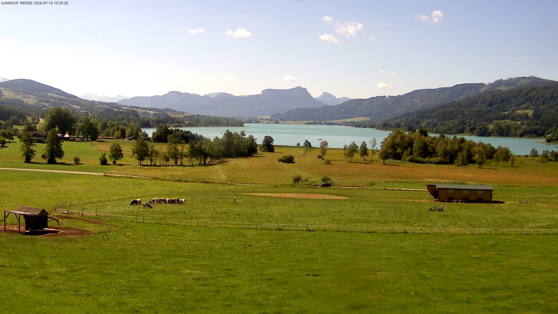 Archiv Foto Webcam Blick auf den Irrsee im Salzkammergut