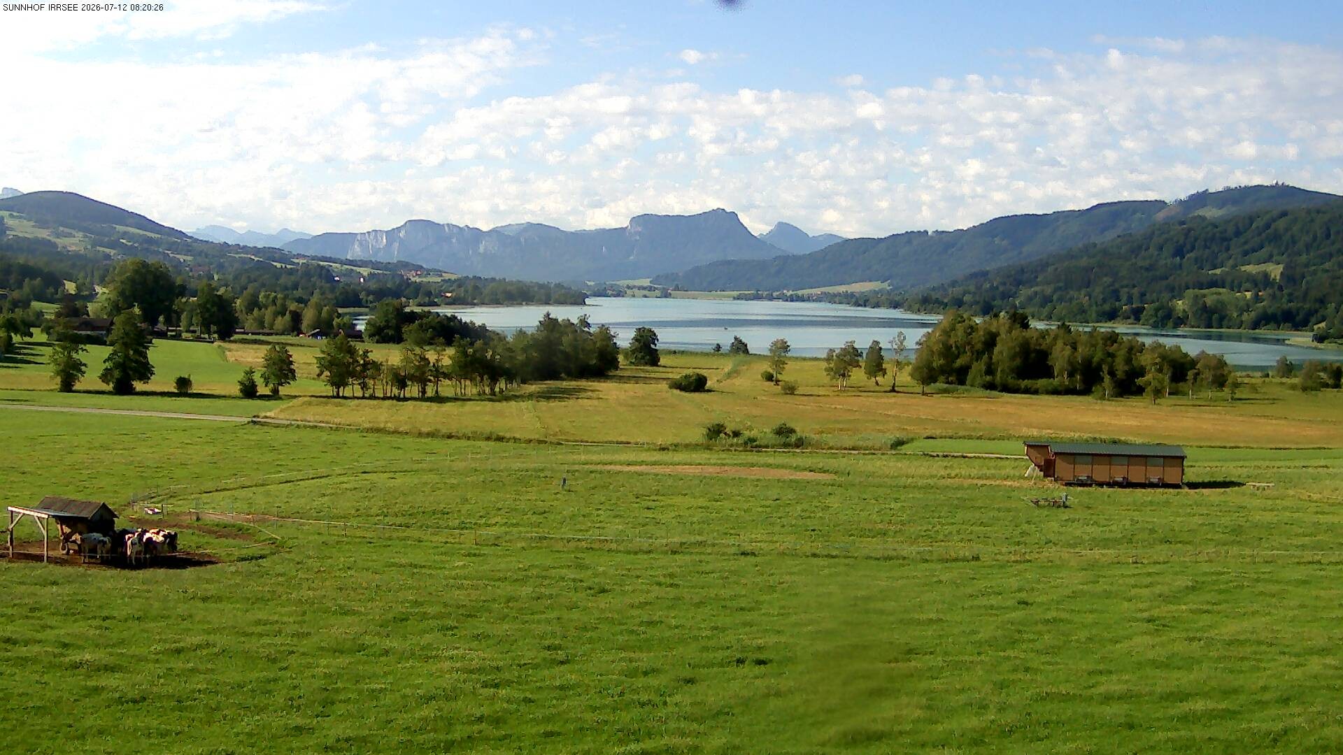 Archiv Foto Webcam Blick auf den Irrsee im Salzkammergut