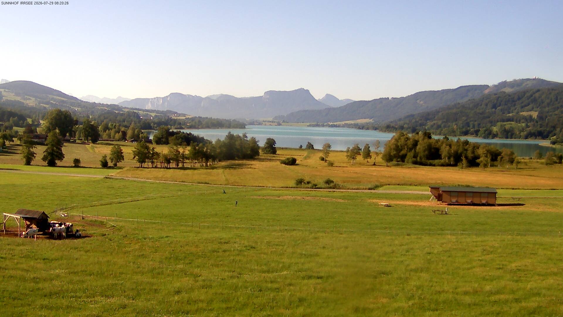 Archiv Foto Webcam Blick auf den Irrsee im Salzkammergut